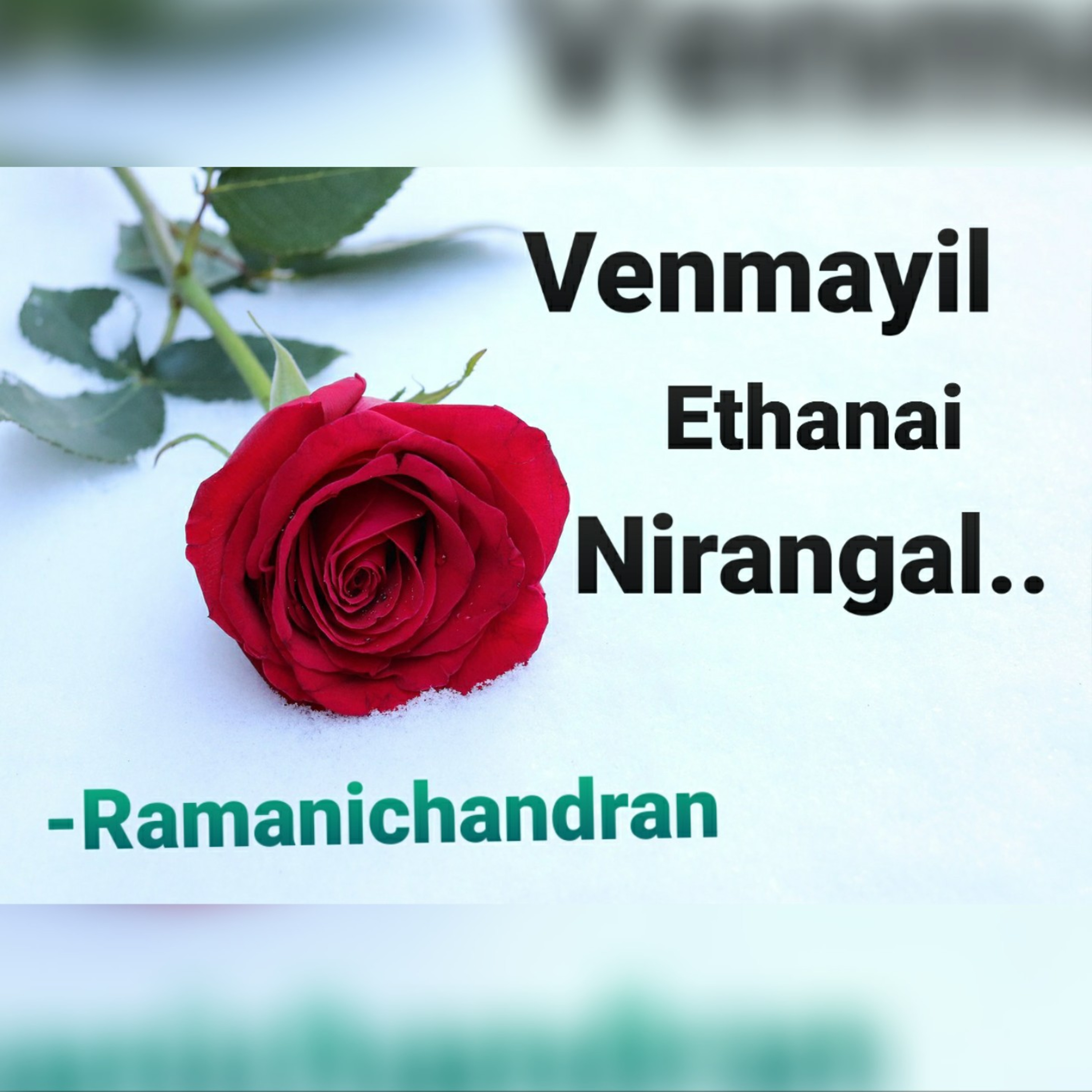 Episode - 14 Ramanichandran - Tamil - story - Novel VENMAYIL ETHANAI NIRANGAL