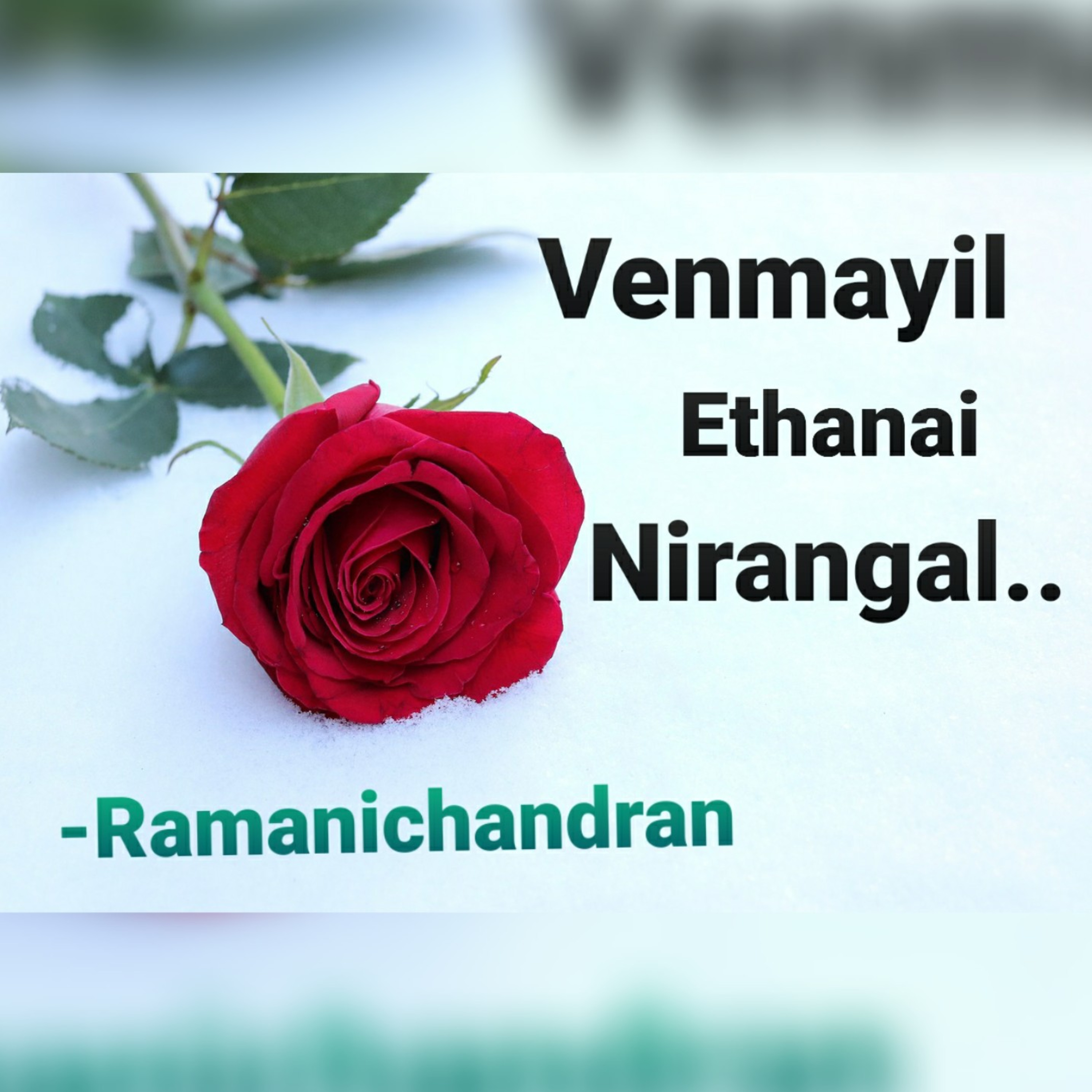 Episode - 16 Ramanichandran - Tamil - story - Novel VENMAYIL ETHANAI NIRANGAL