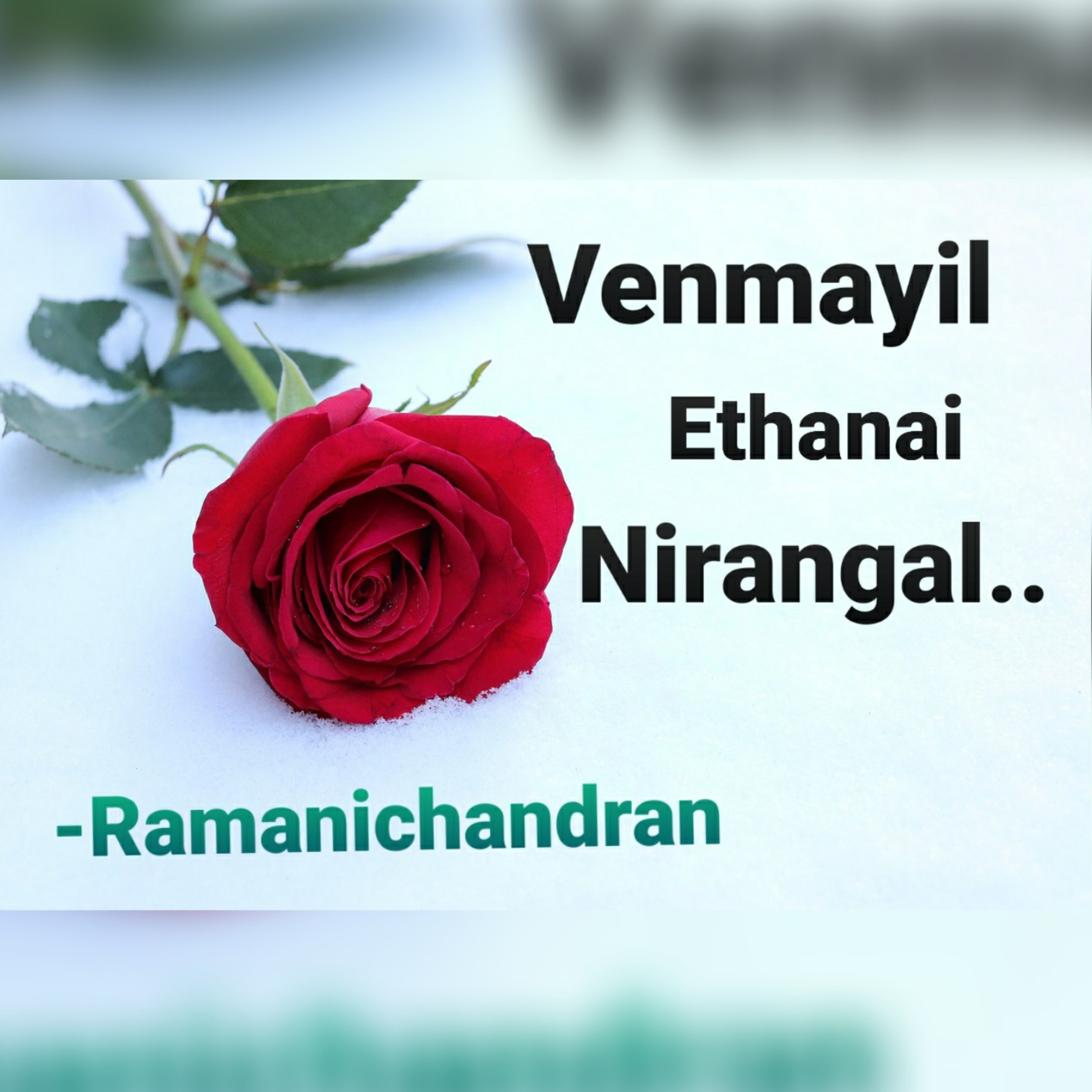 Episode - 17 Ramanichandran - Tamil - story - Novel VENMAYIL ETHANAI NIRANGAL