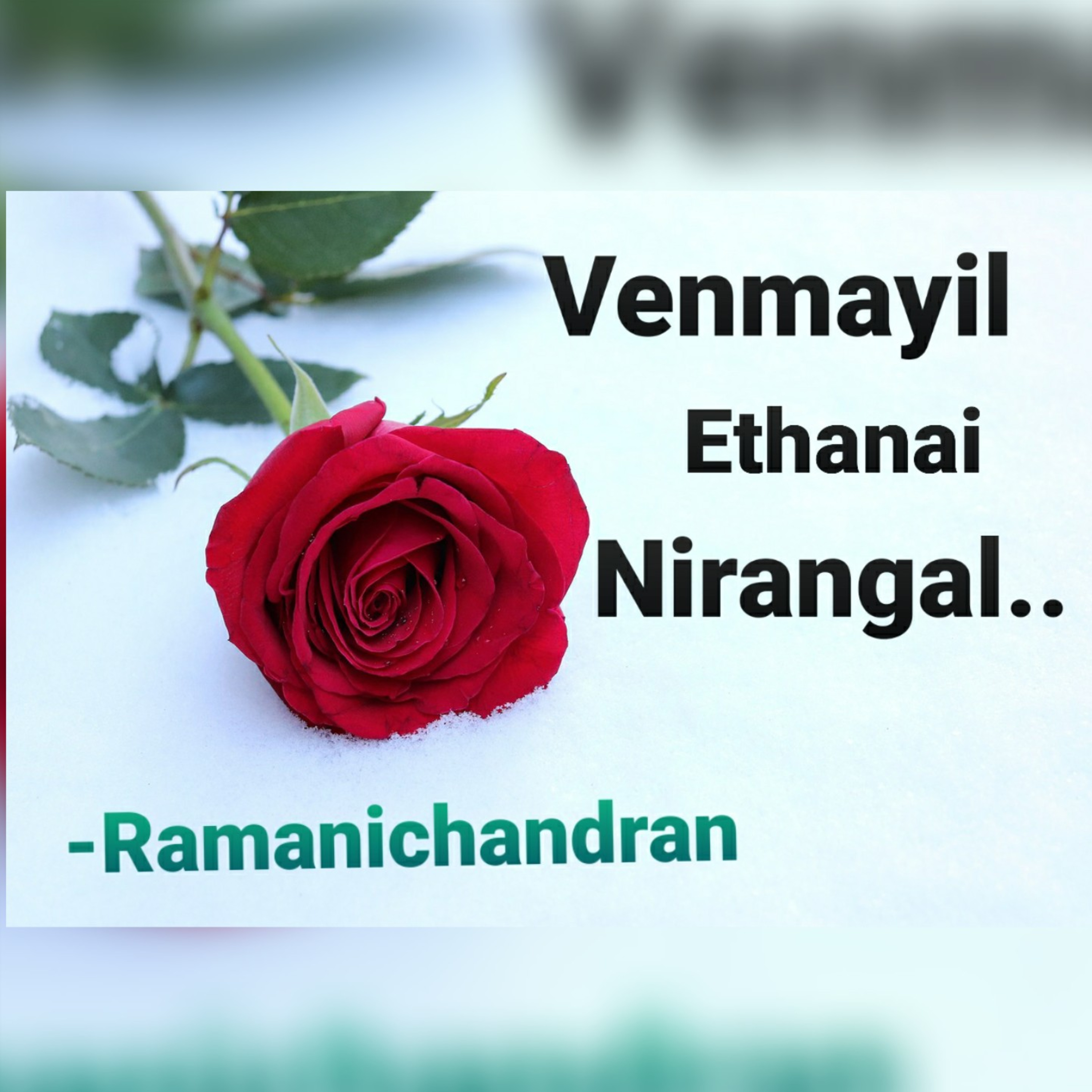 Episode - 24 Ramanichandran - Tamil - story - Novel VENMAYIL ETHANAI NIRANGAL
