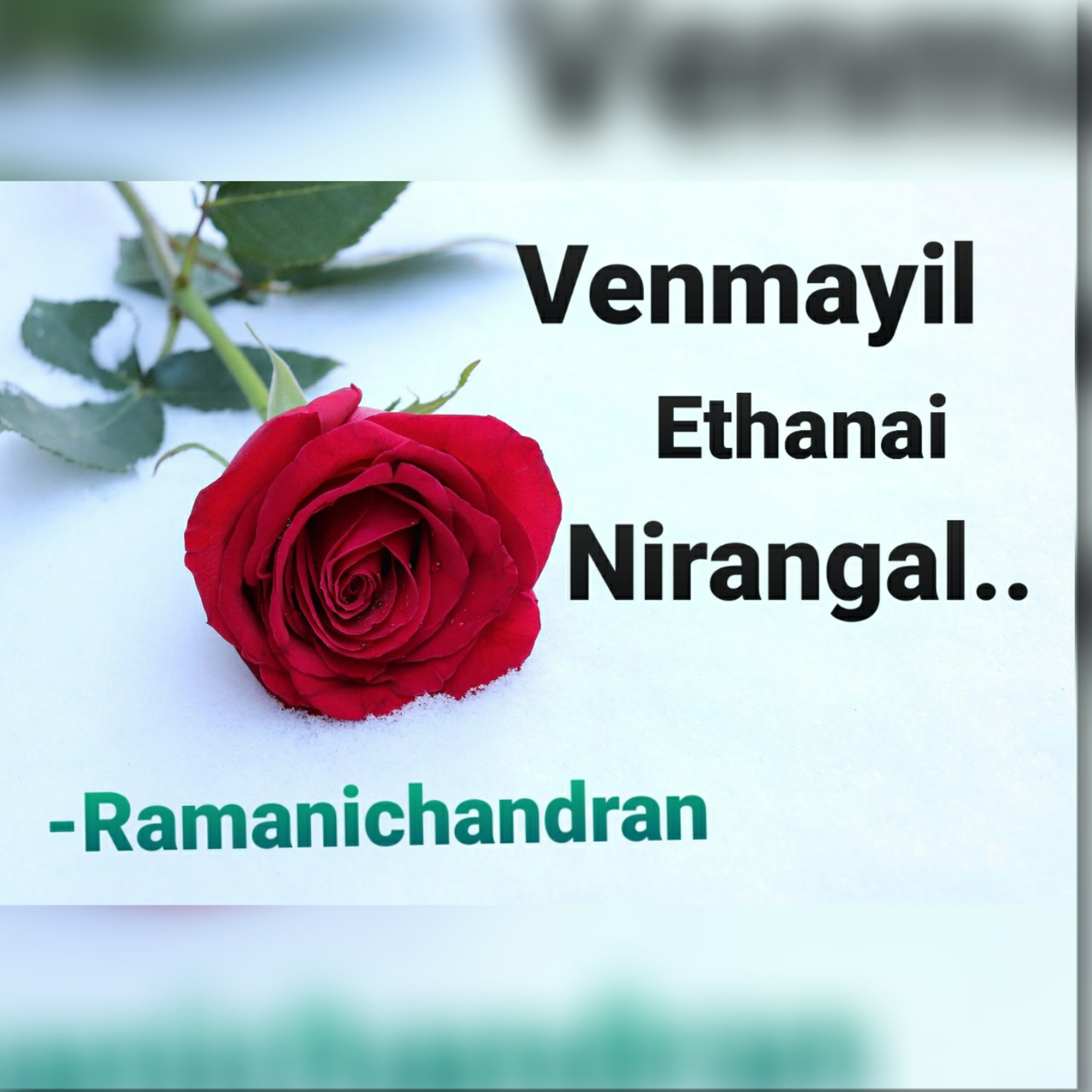 Episode - 25 Ramanichandran - Tamil - story - Novel VENMAYIL ETHANAI NIRANGAL