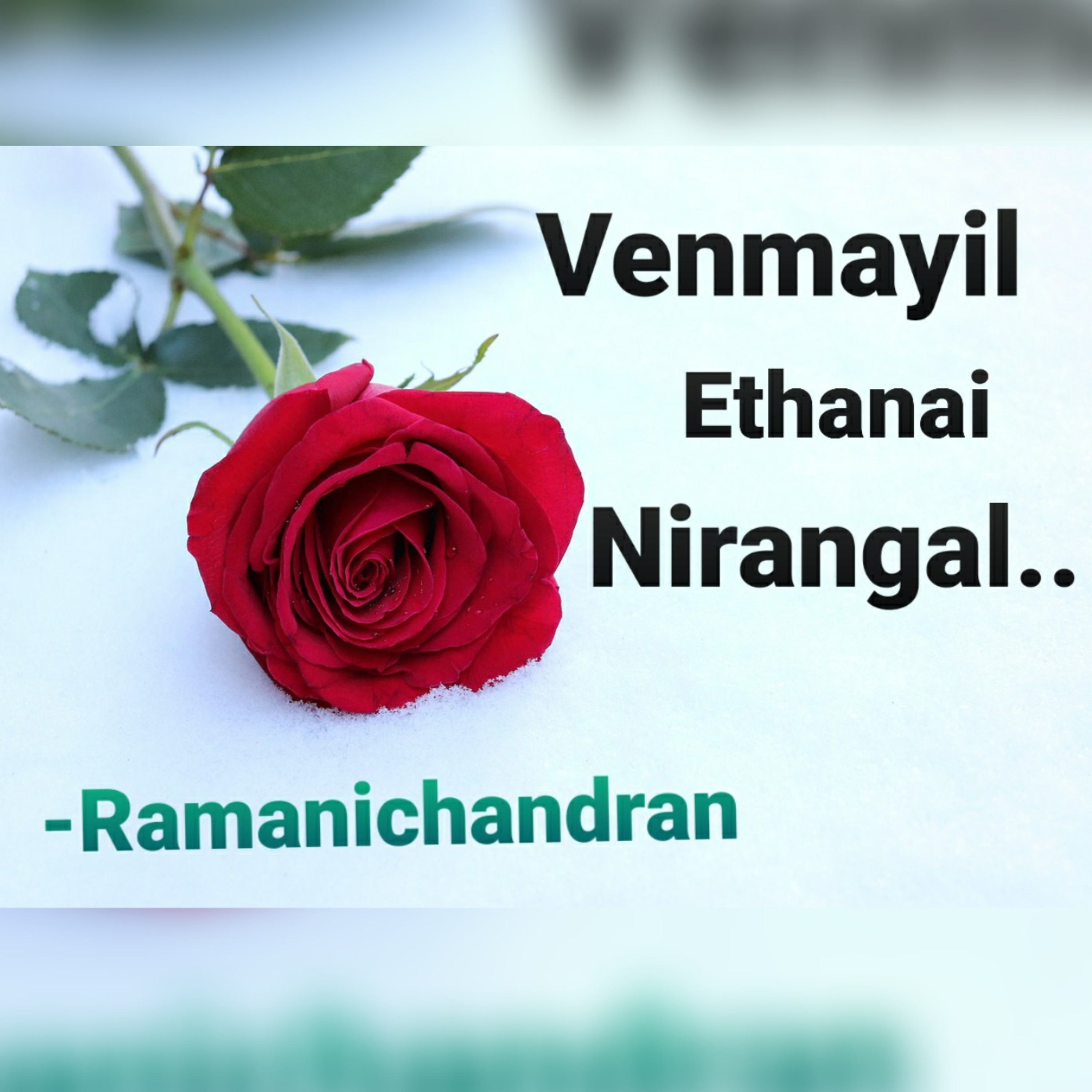 Episode - 29 Ramanichandran - Tamil - story - Novel VENMAYIL ETHANAI NIRANGAL