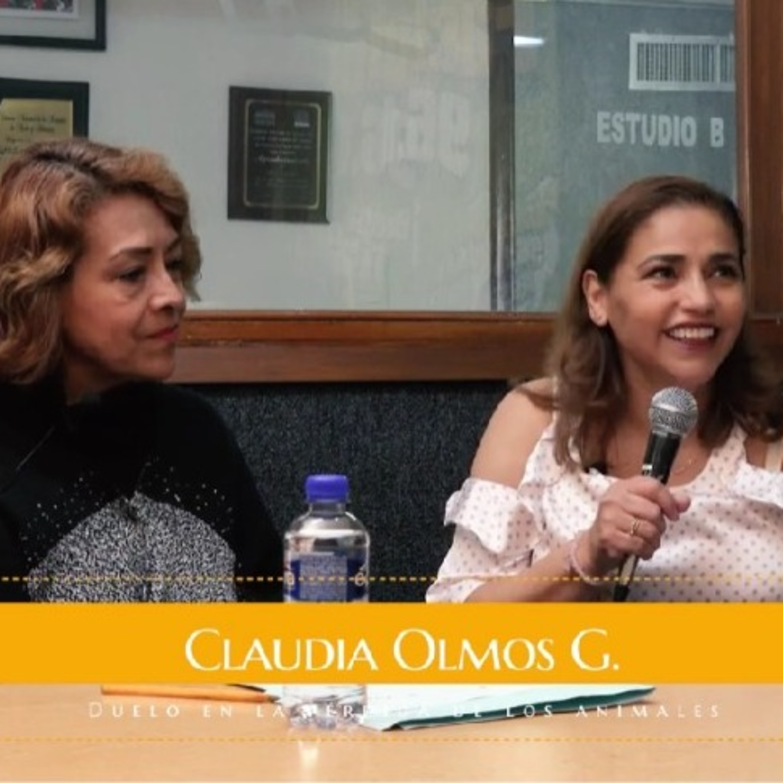 Duelos, Perdidas y tanatologia