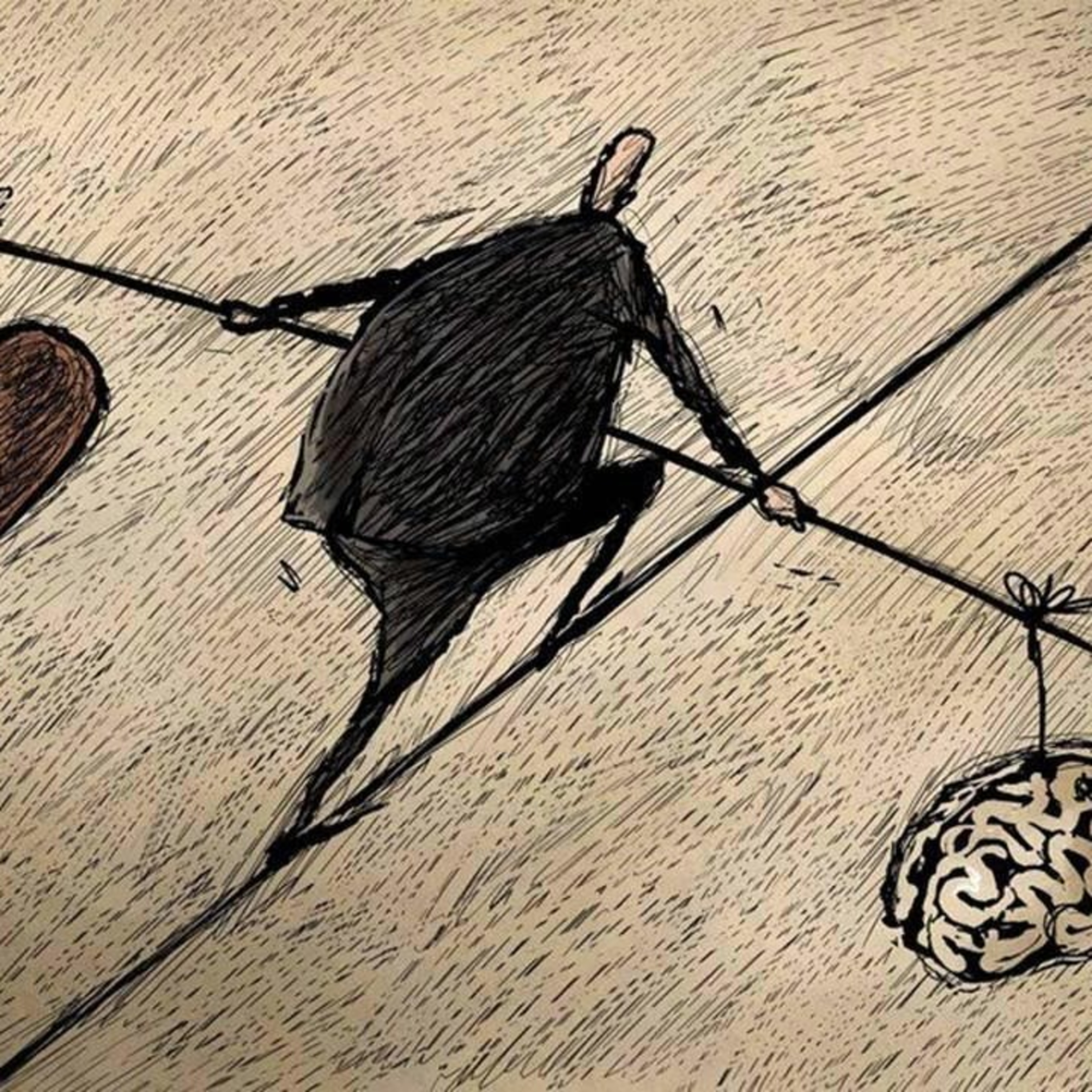 Loucos Porém Equilibrados