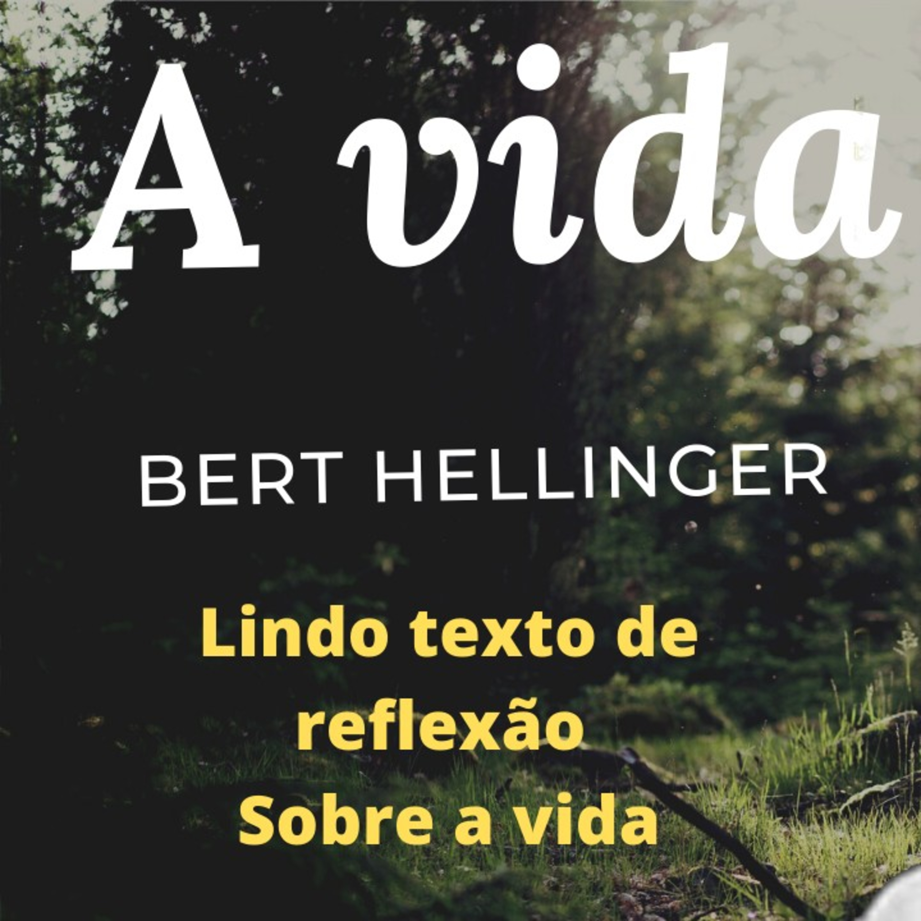 Loucos Porém Equilibrados