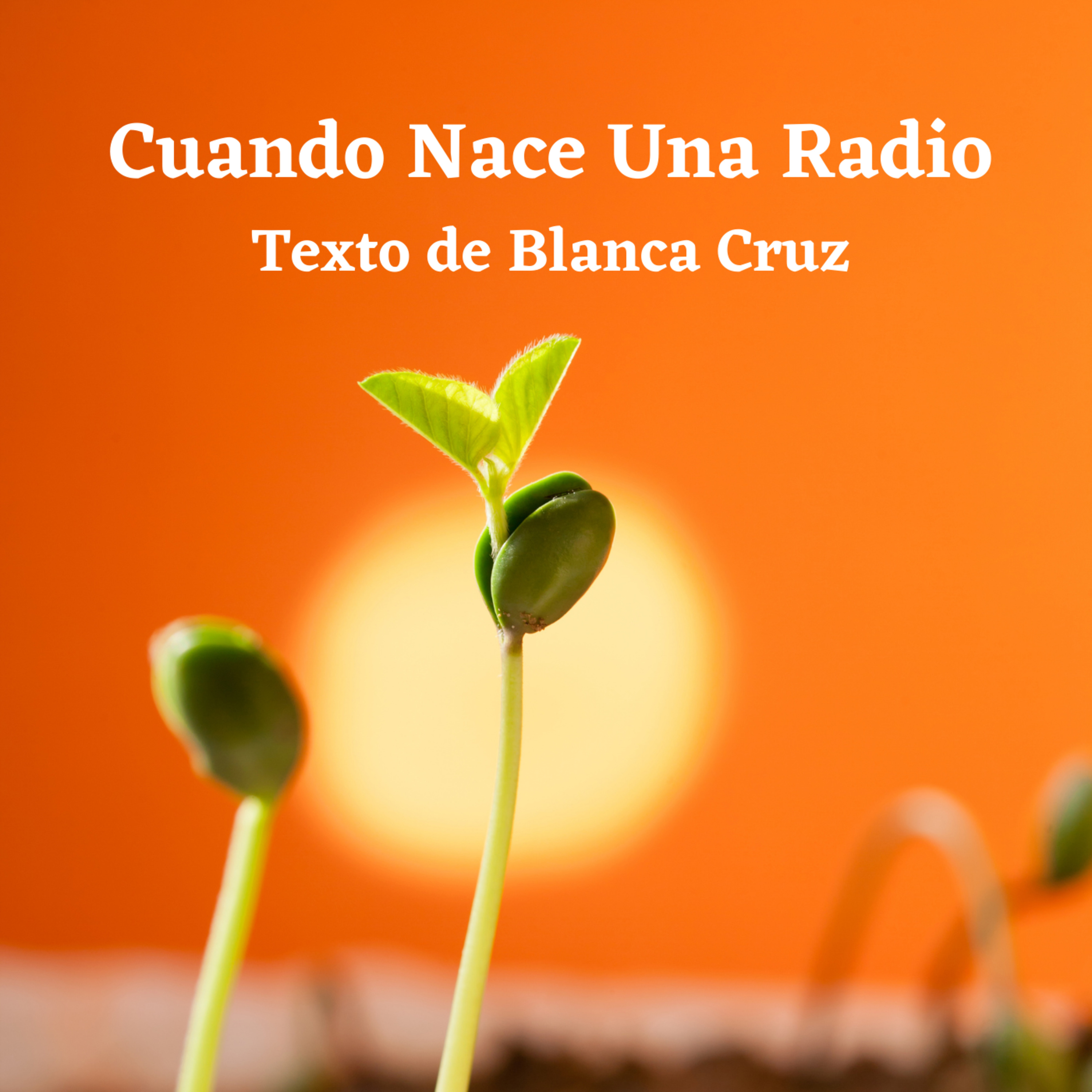 Memorias Colectivas y Más