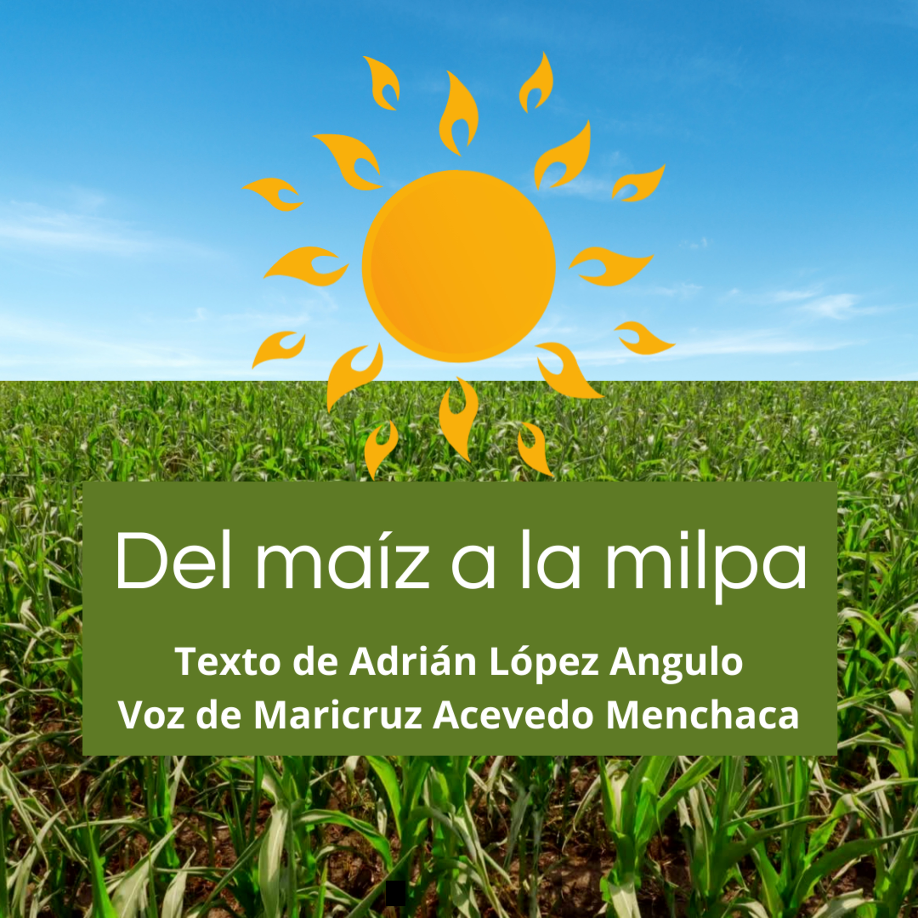 Memorias Colectivas y Más