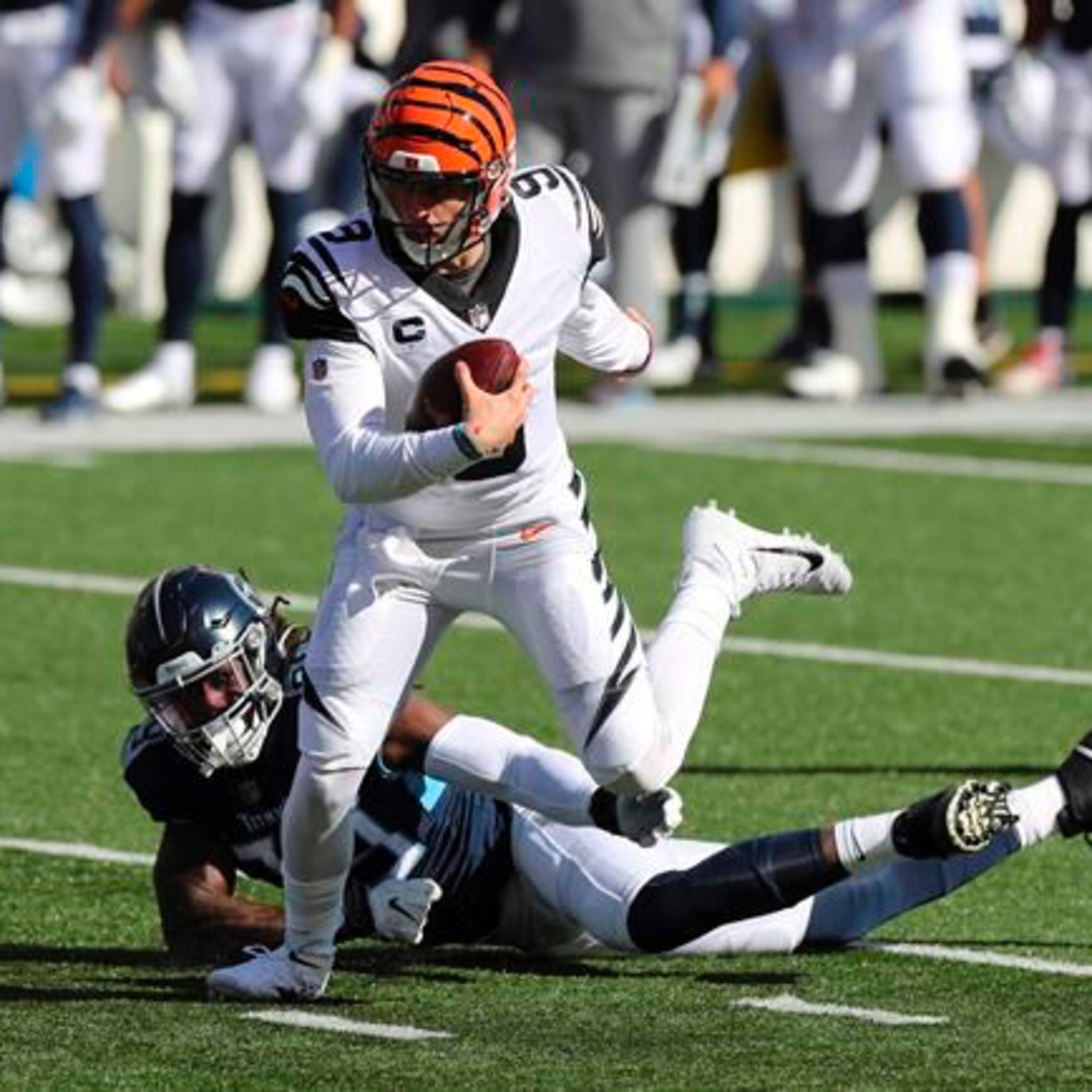 Who Dey Bitching