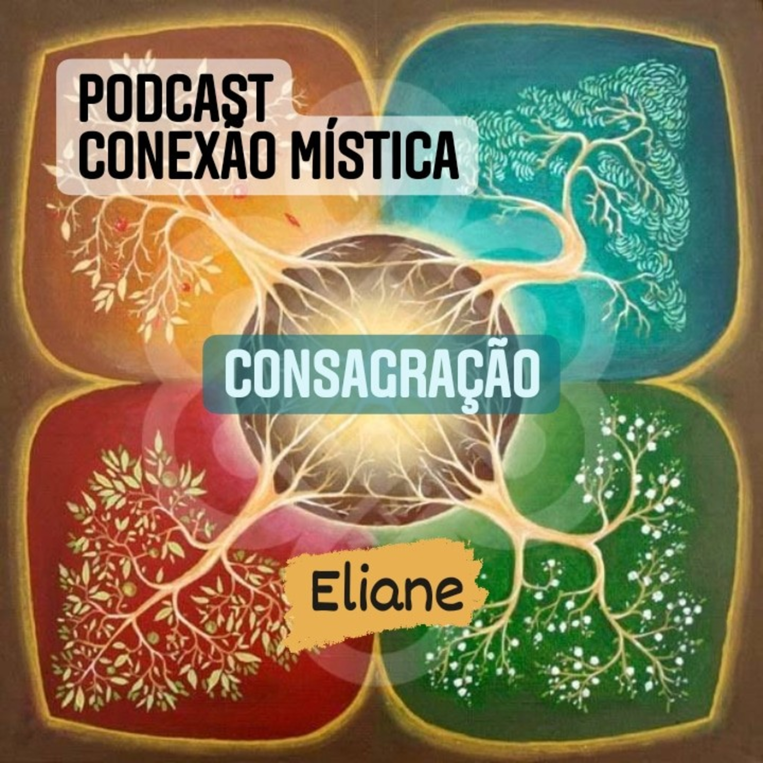 Consagração episode artwork