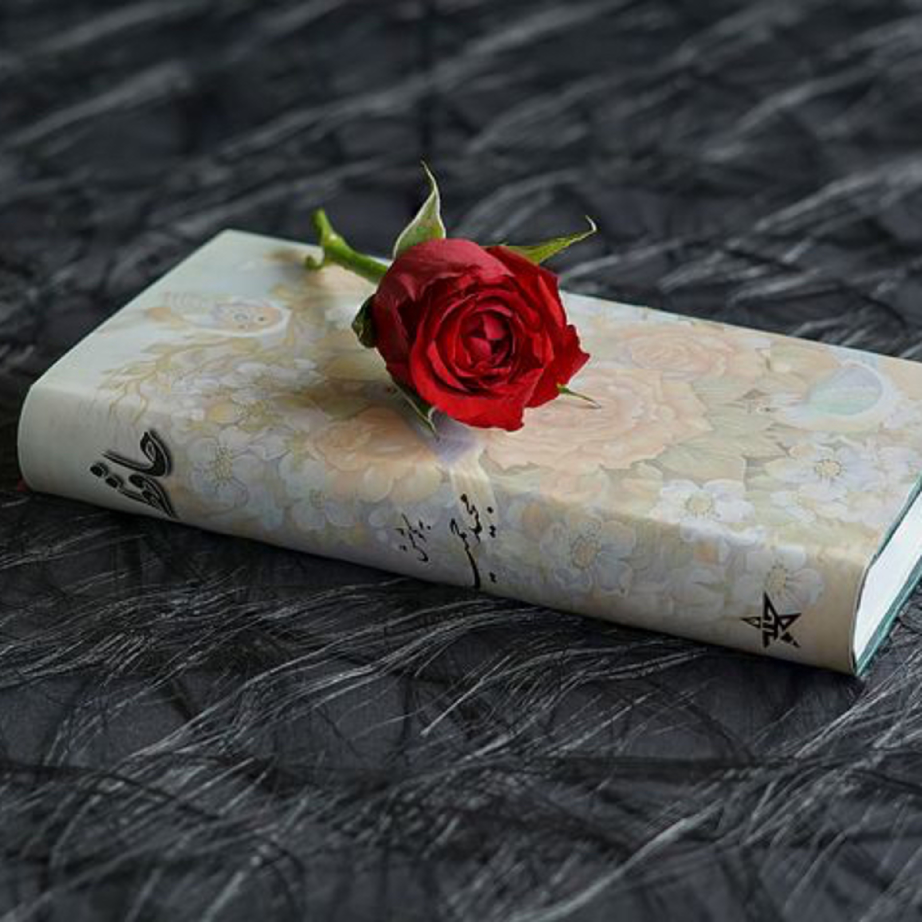 #190 What Poems did to me