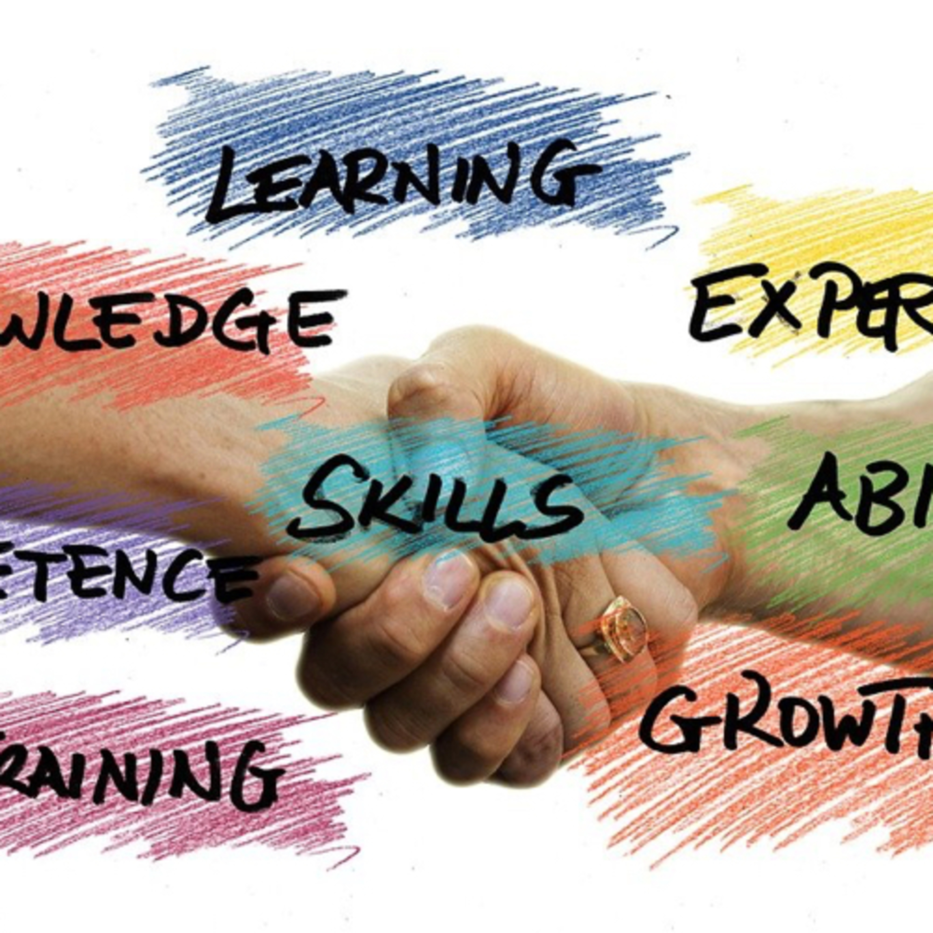 #206 Strategies to build skills for Work