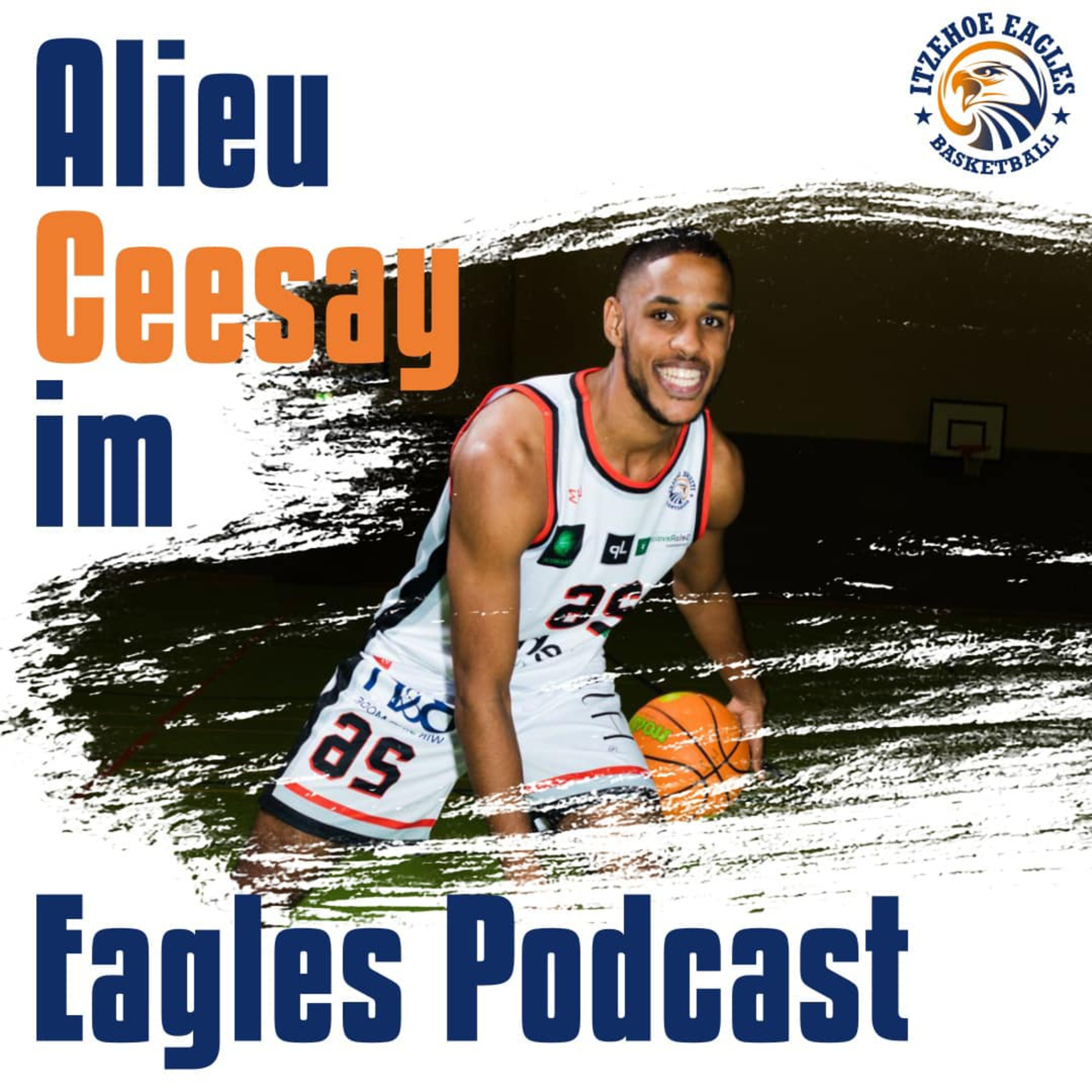 Der Itzehoe Eagles Podcast - Itze Talk!