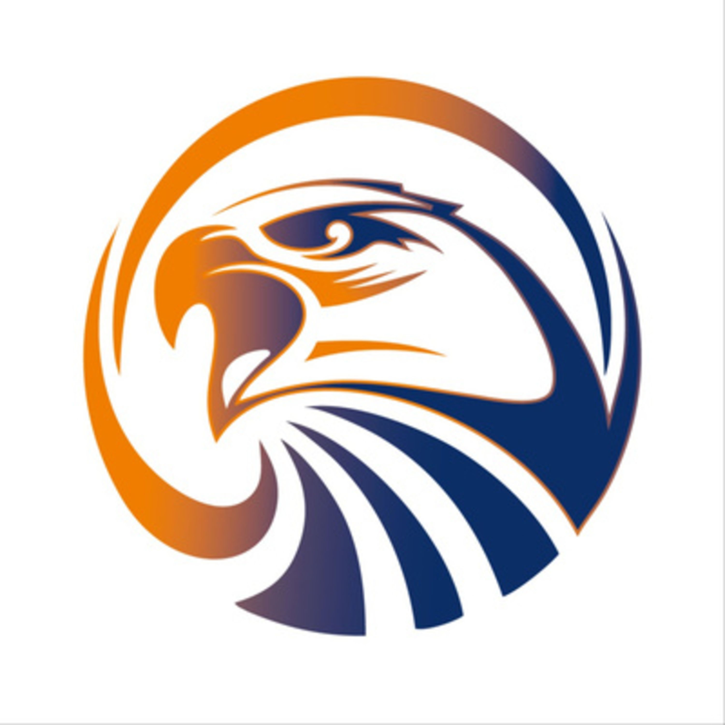 Der Itzehoe Eagles Podcast - Itze Talk!
