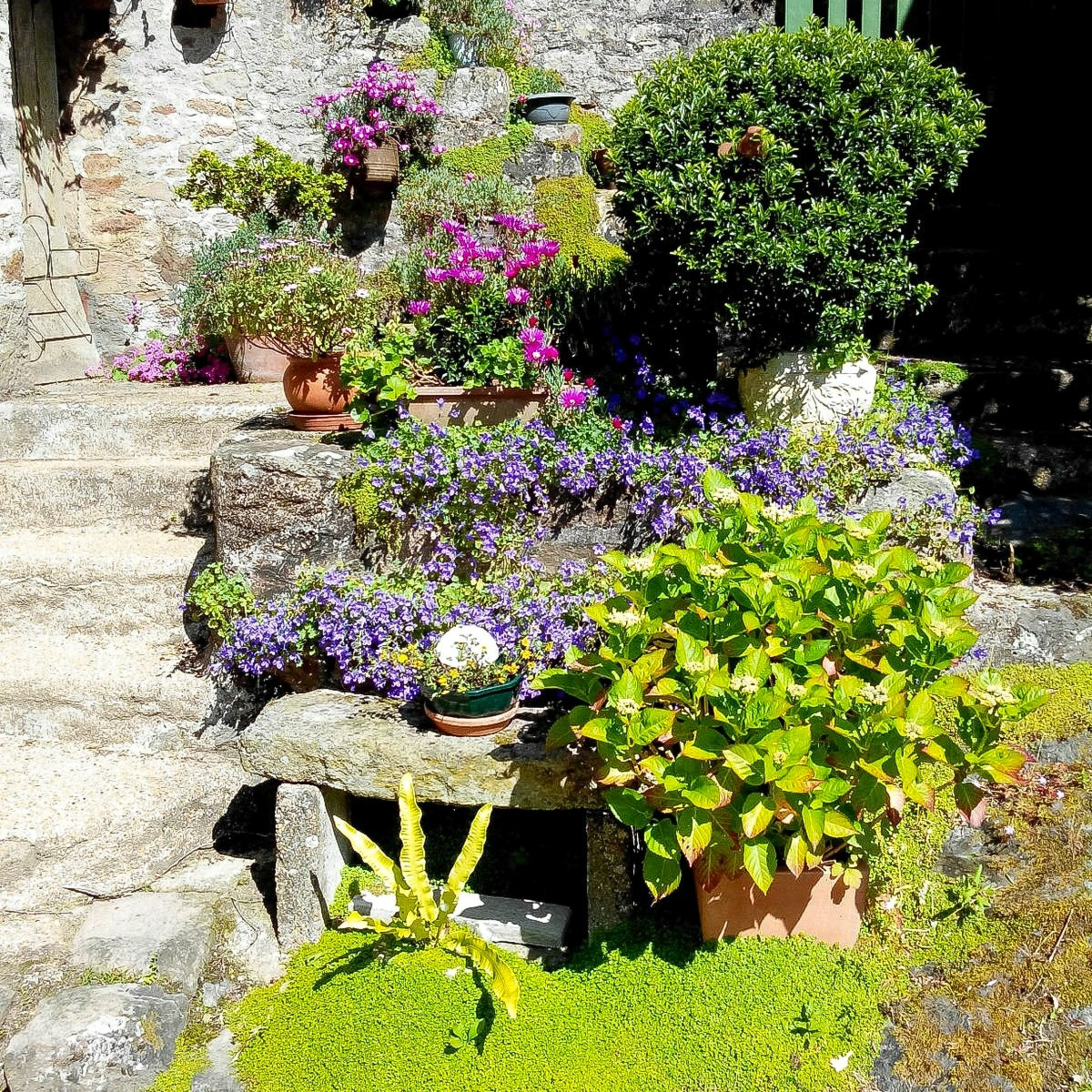 Les Cotentinois