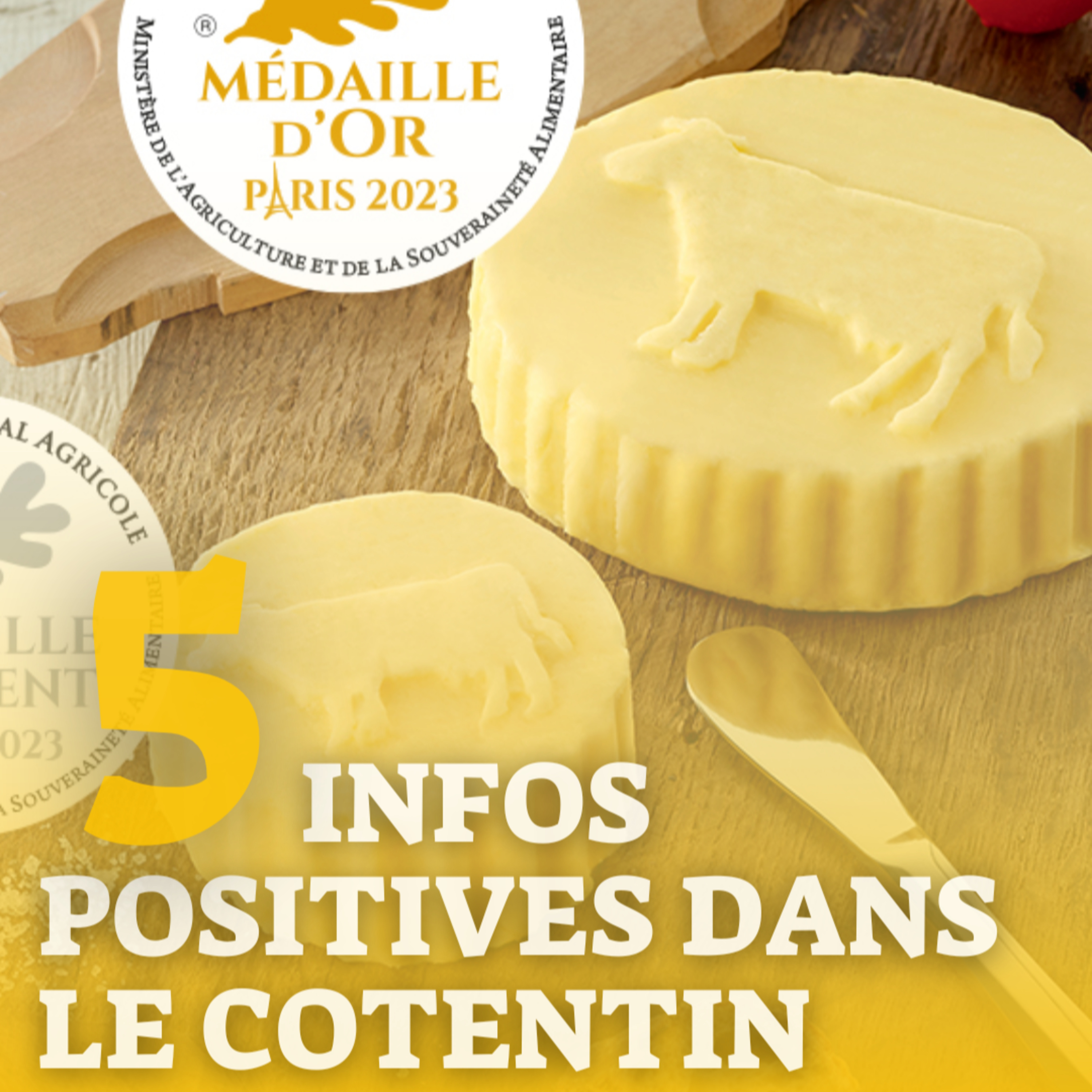 Les Cotentinois