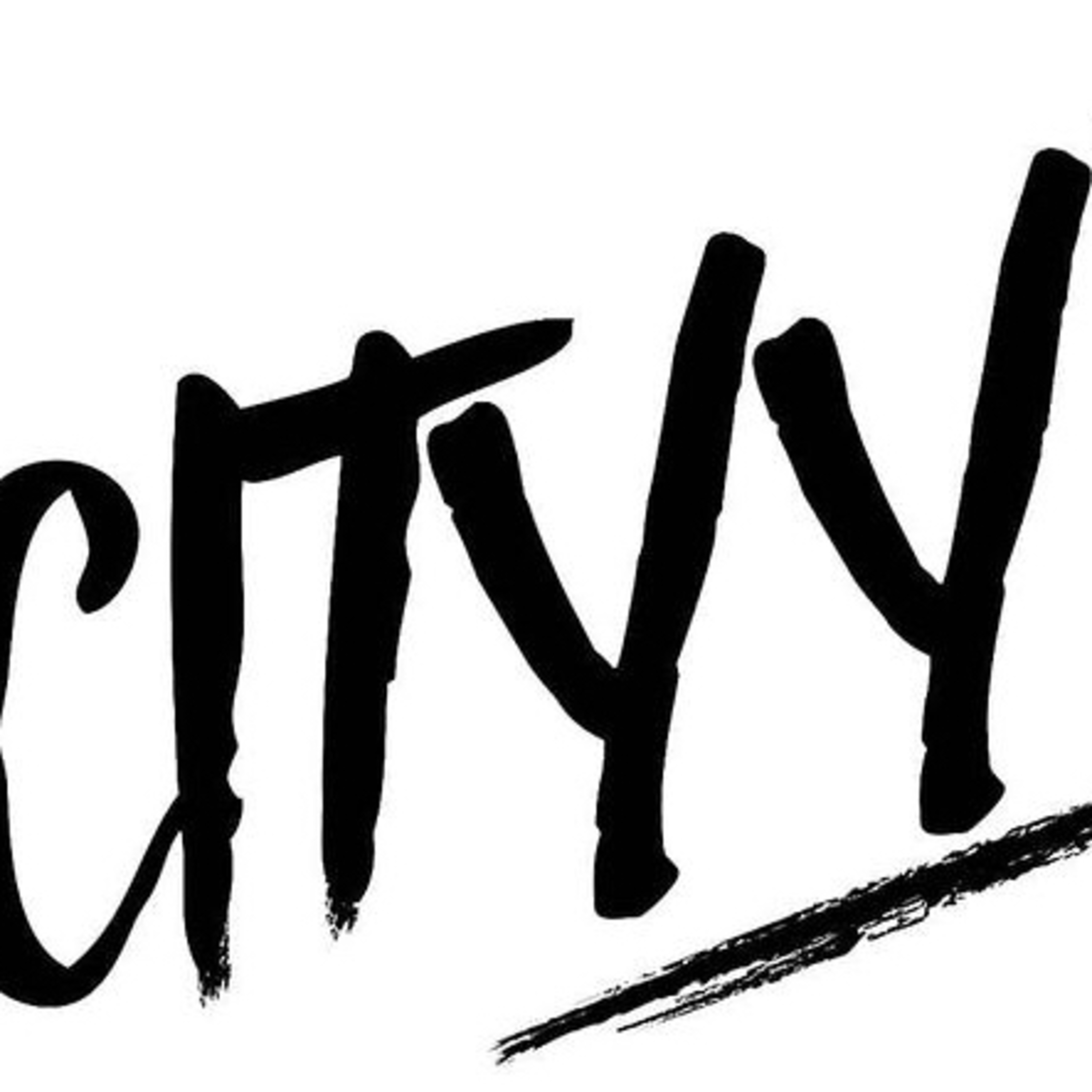 shawn myrie,s down 2 earth podcast with special guest cityyz-season 1