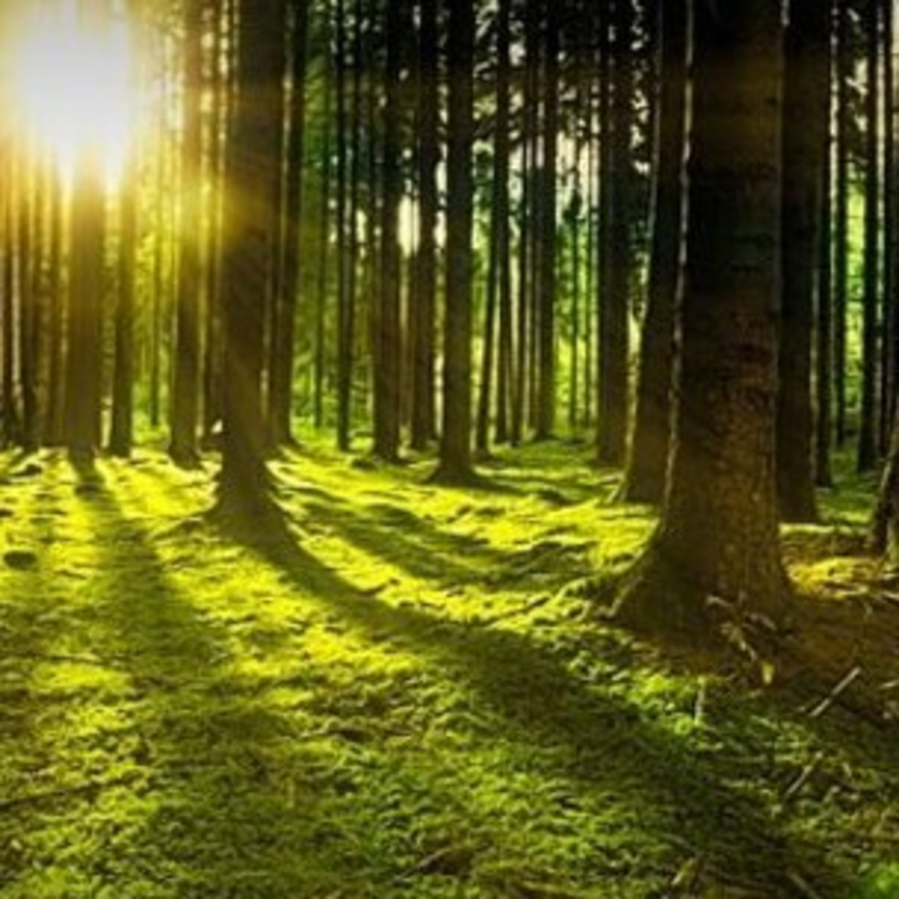 Self-esteem and self love meditation