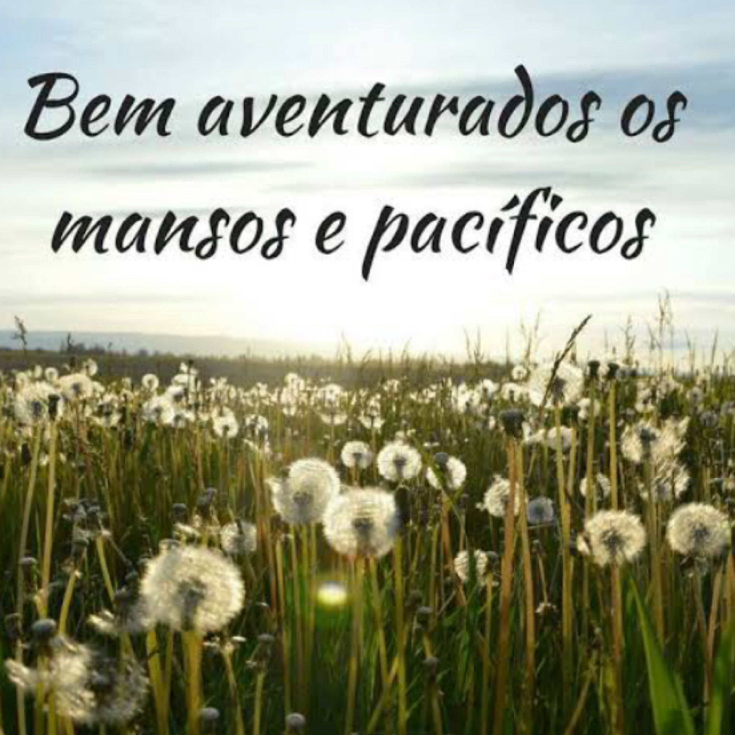 Fraternidade Cristã