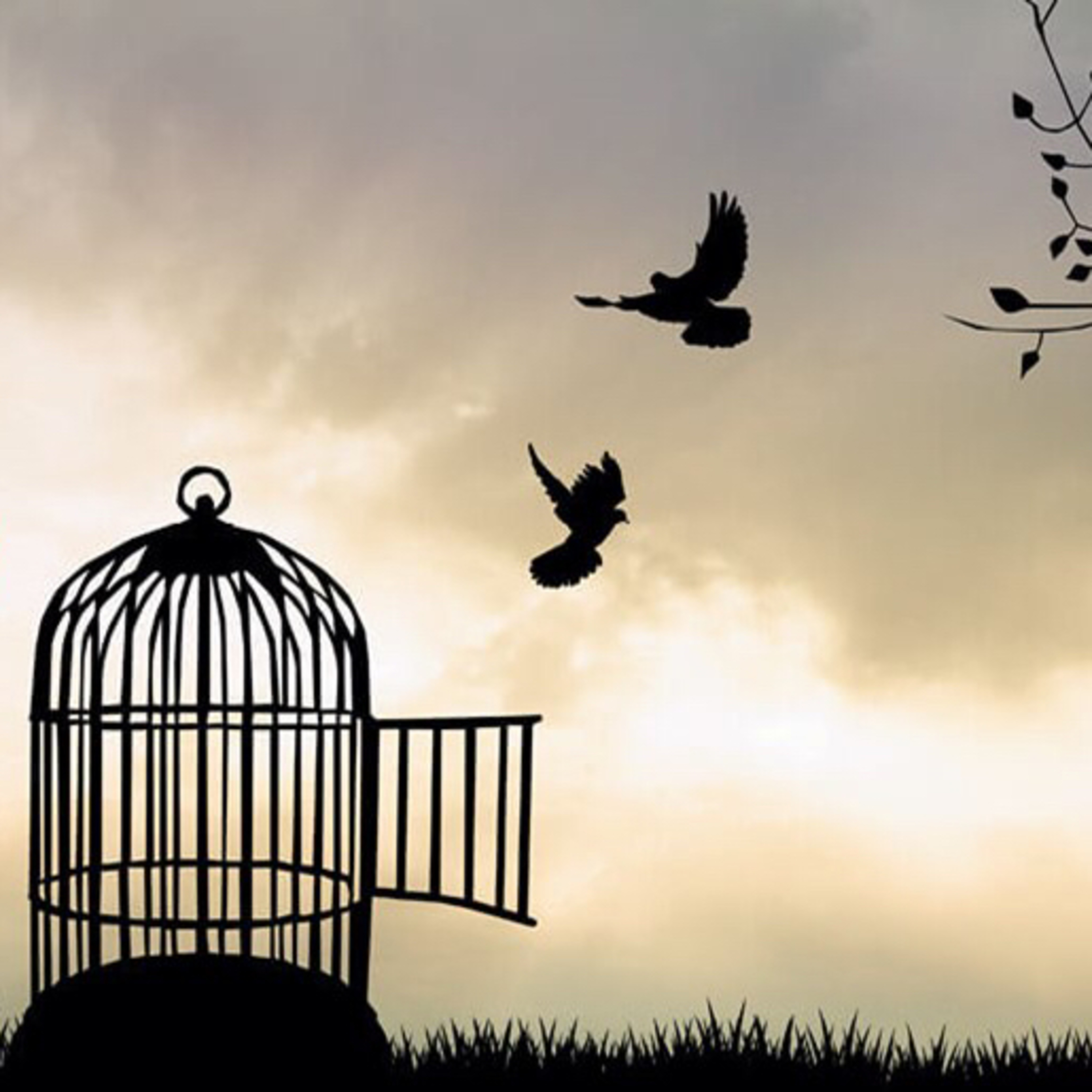 Fraternidade Cristã