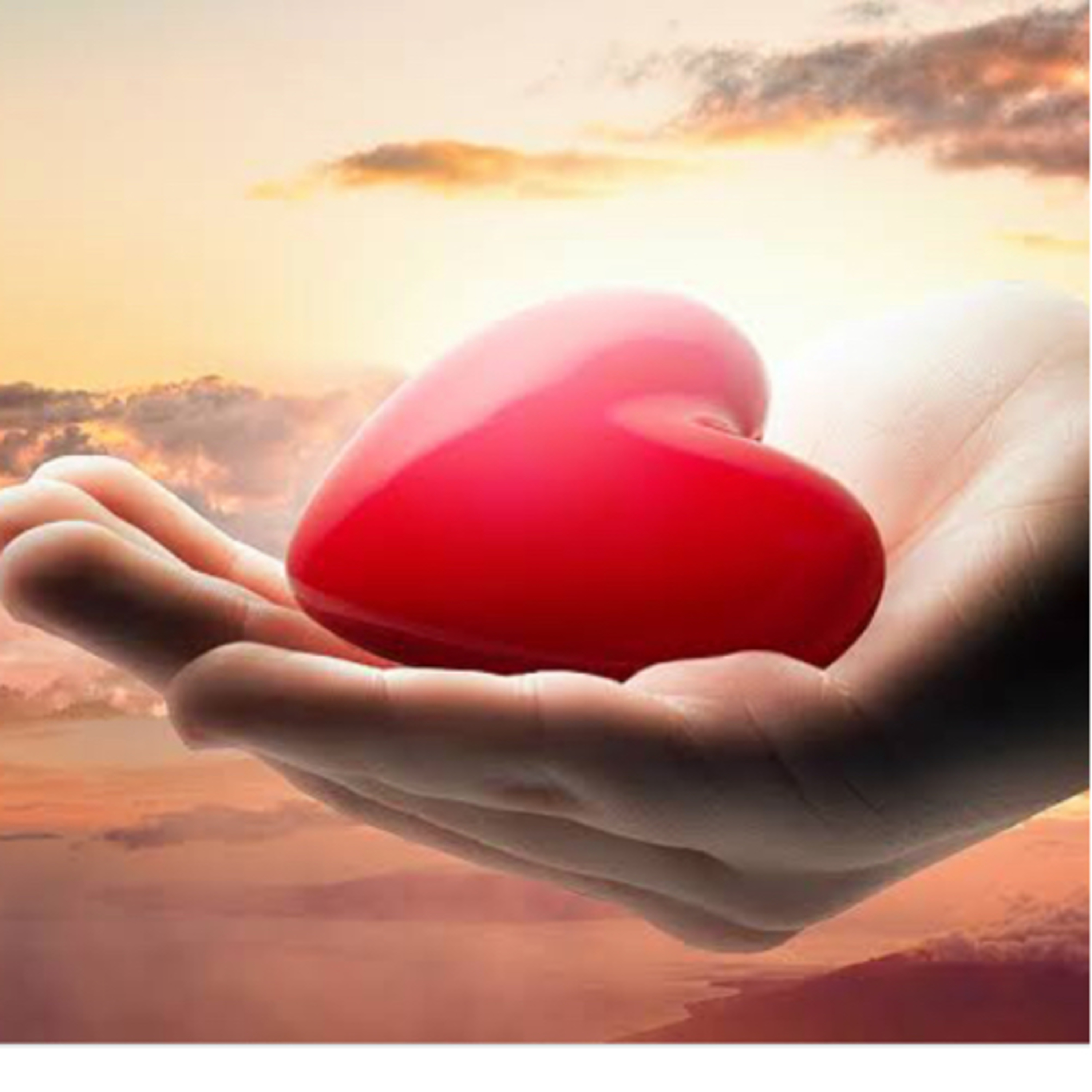 Fraternidade Cristã