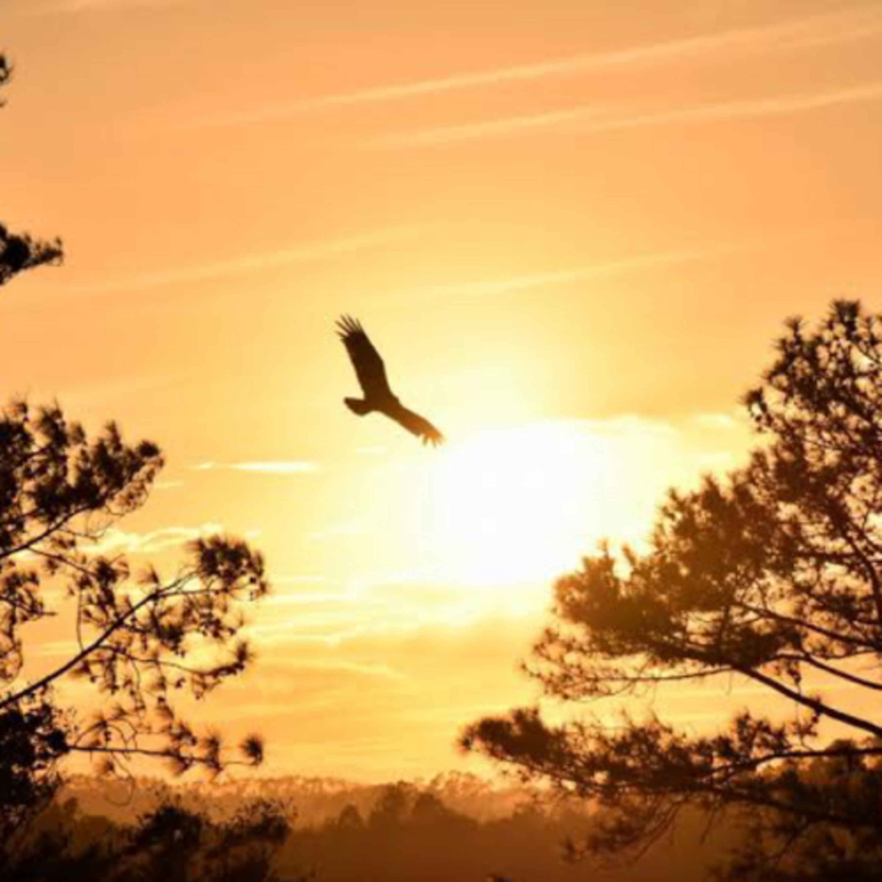 Fraternidade Cristã
