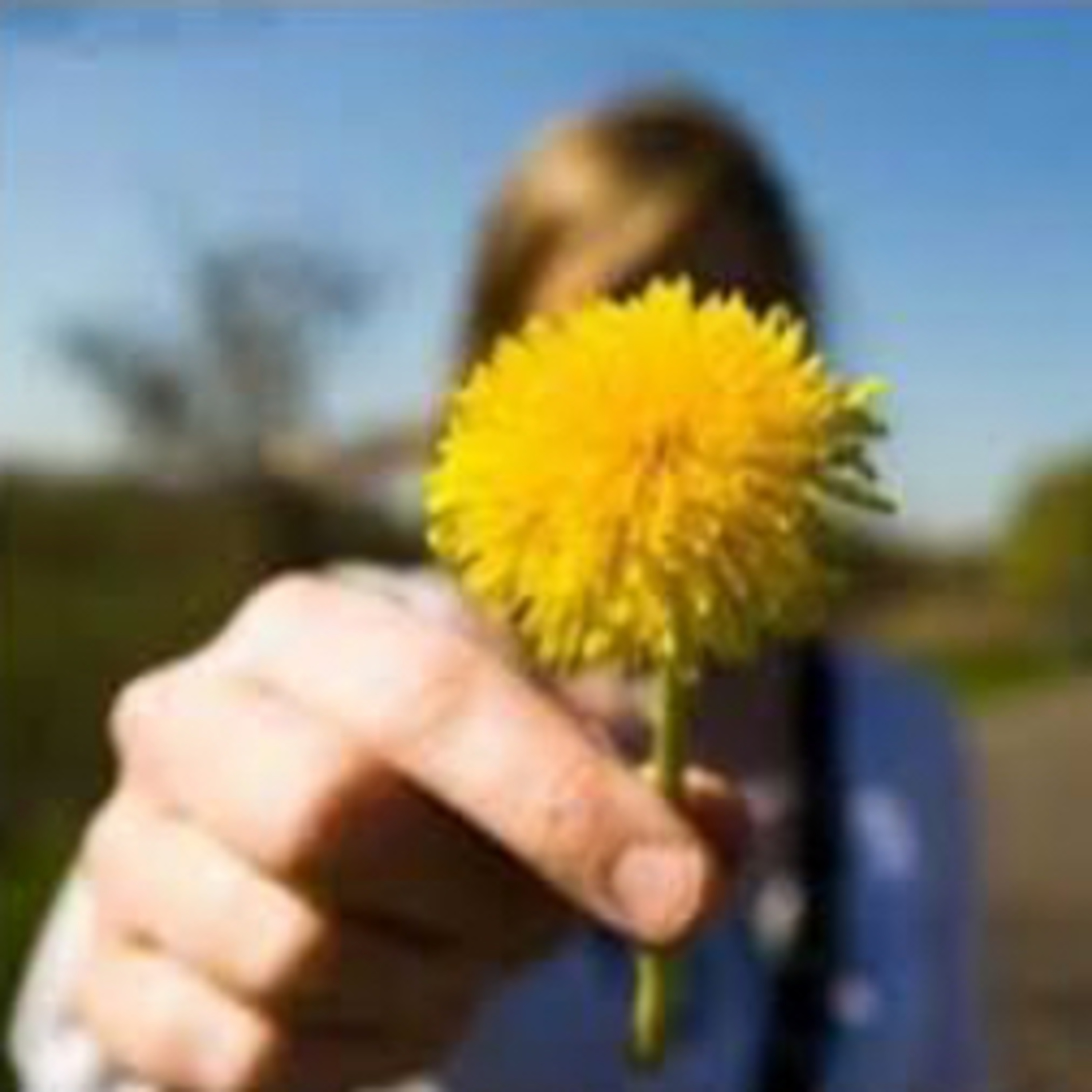 Fraternidade Cristã
