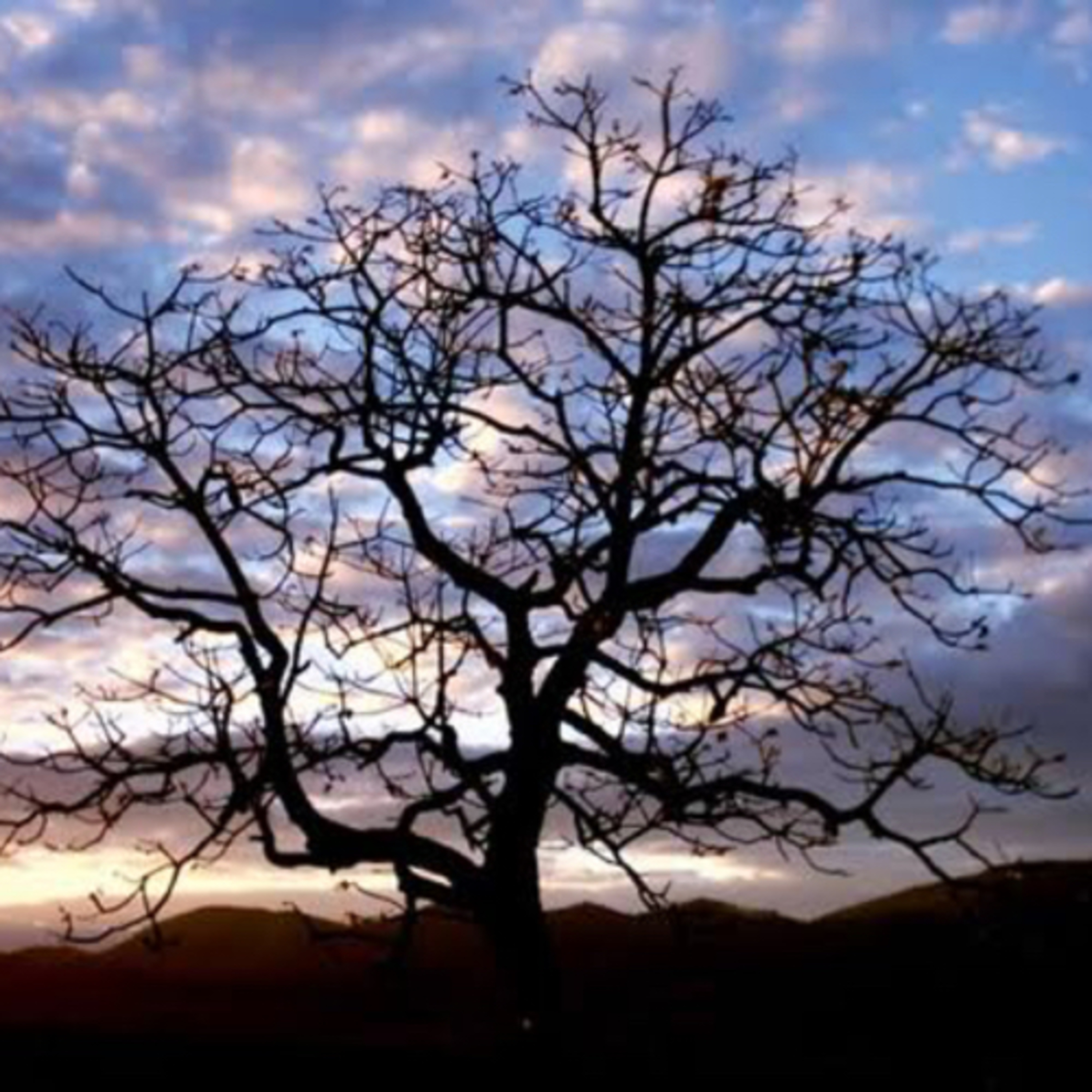 Fraternidade Cristã