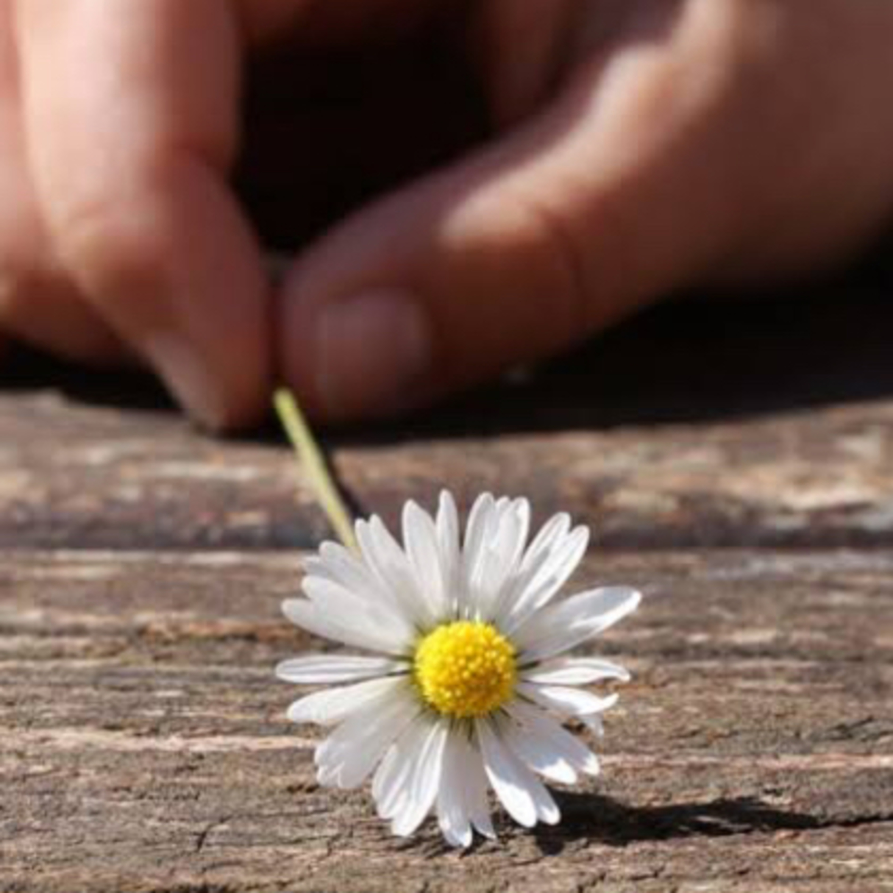 Fraternidade Cristã