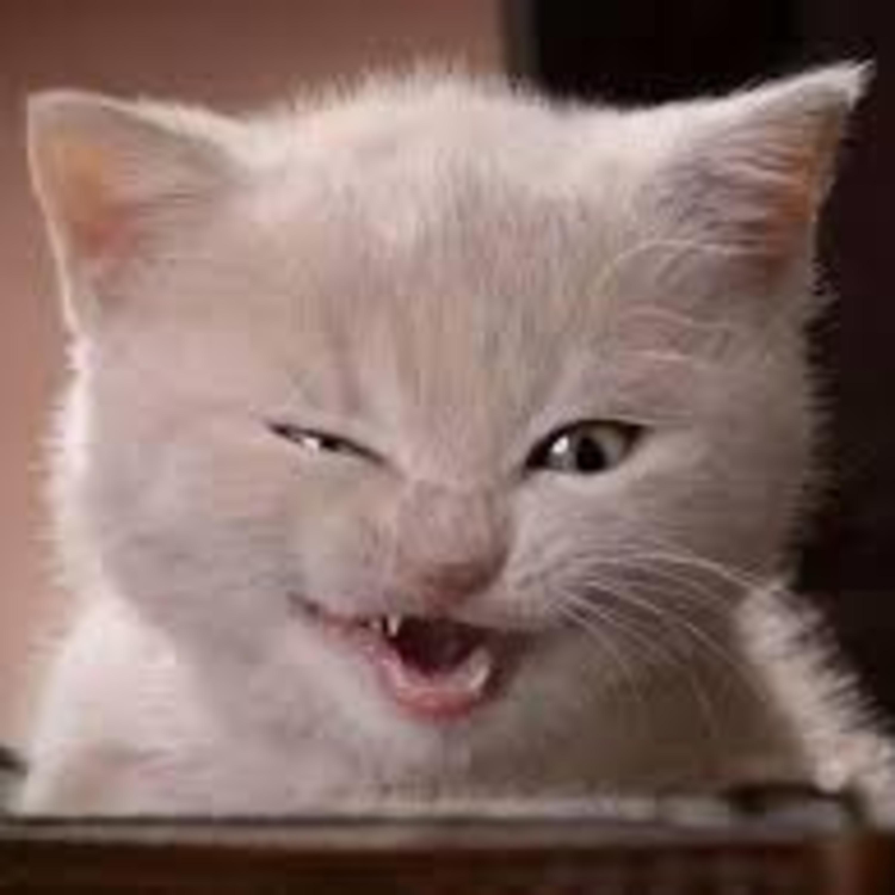 感情爭執的原點,在於溝通無用?