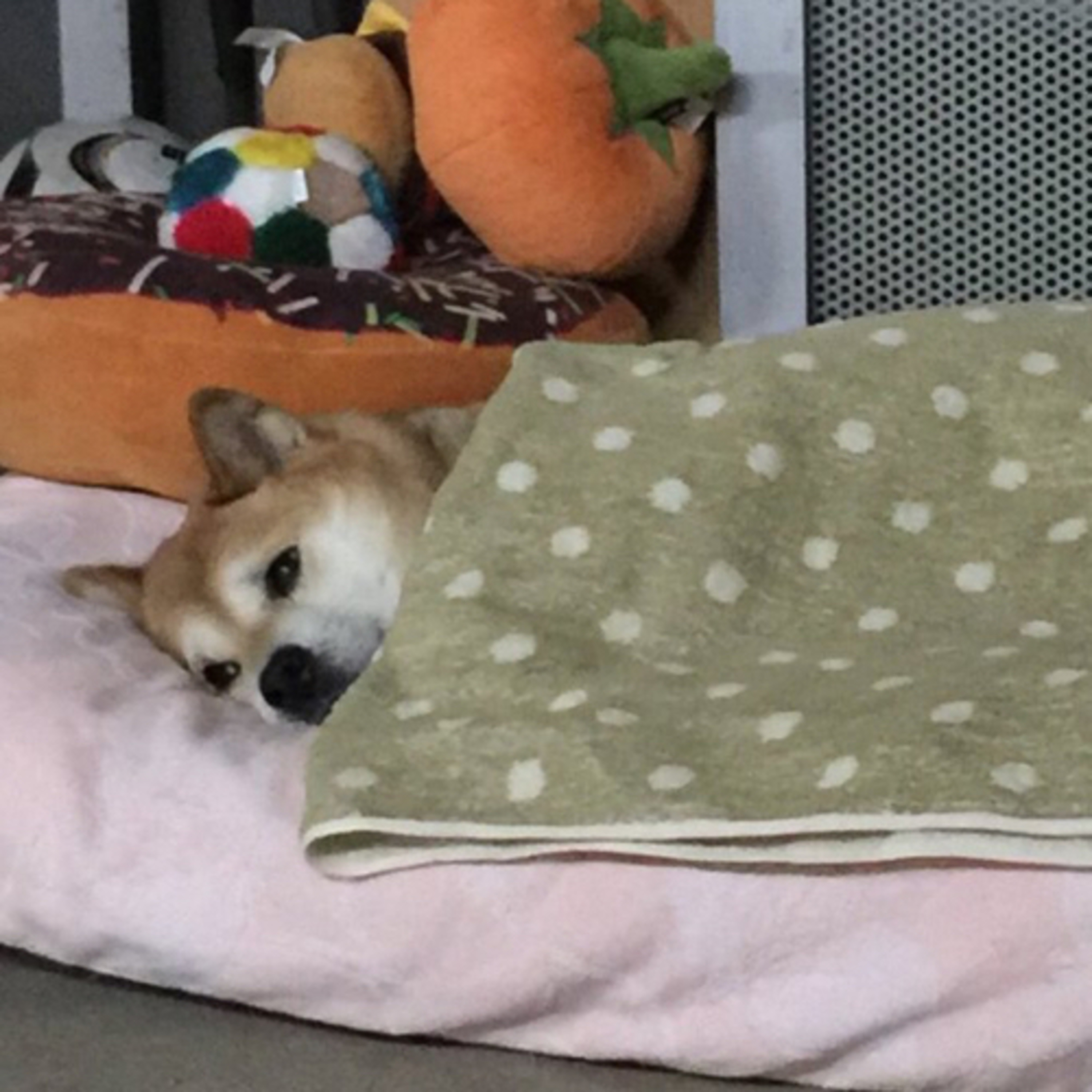 看看你的樣子,再來談擇偶條件!