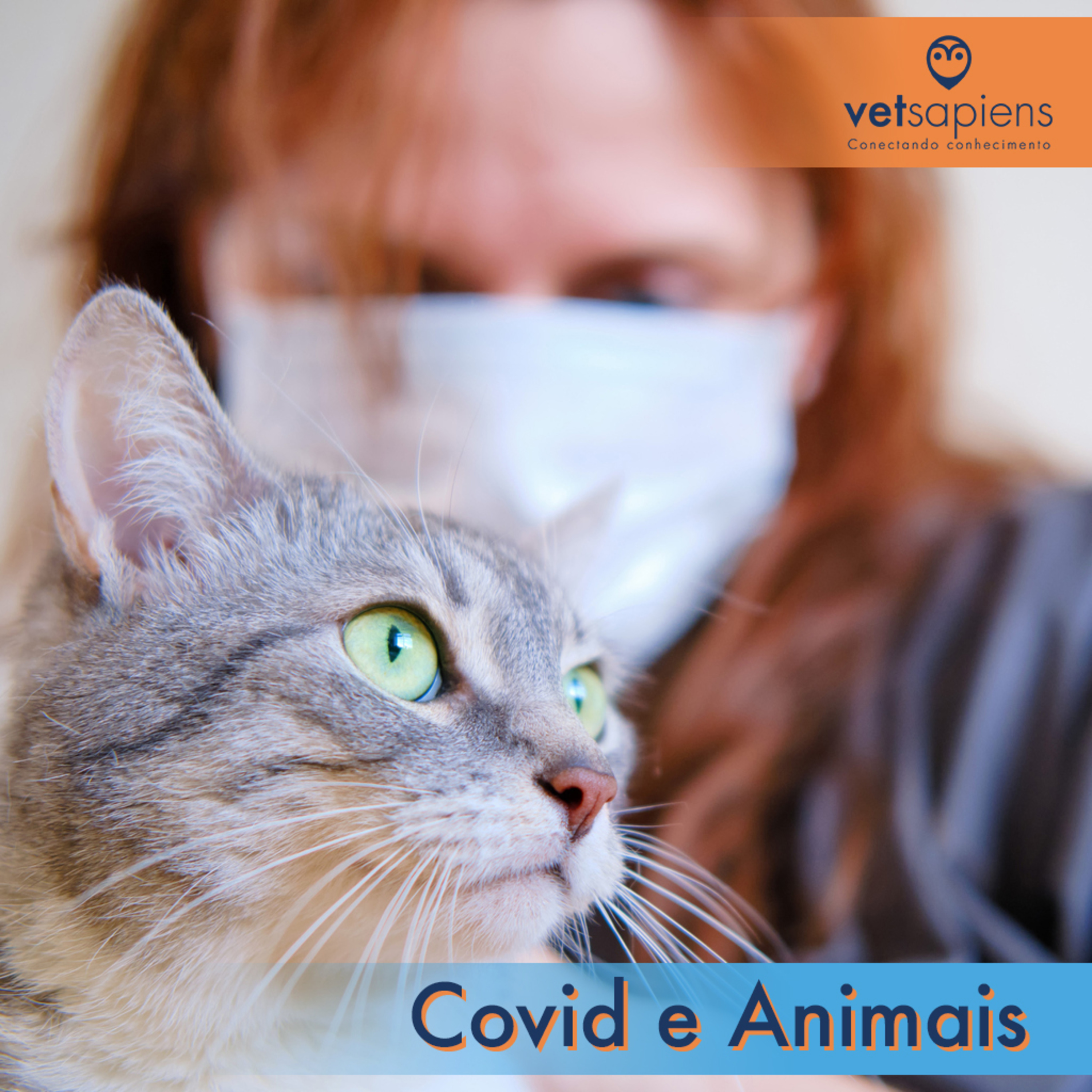 Covid e Animais episode artwork