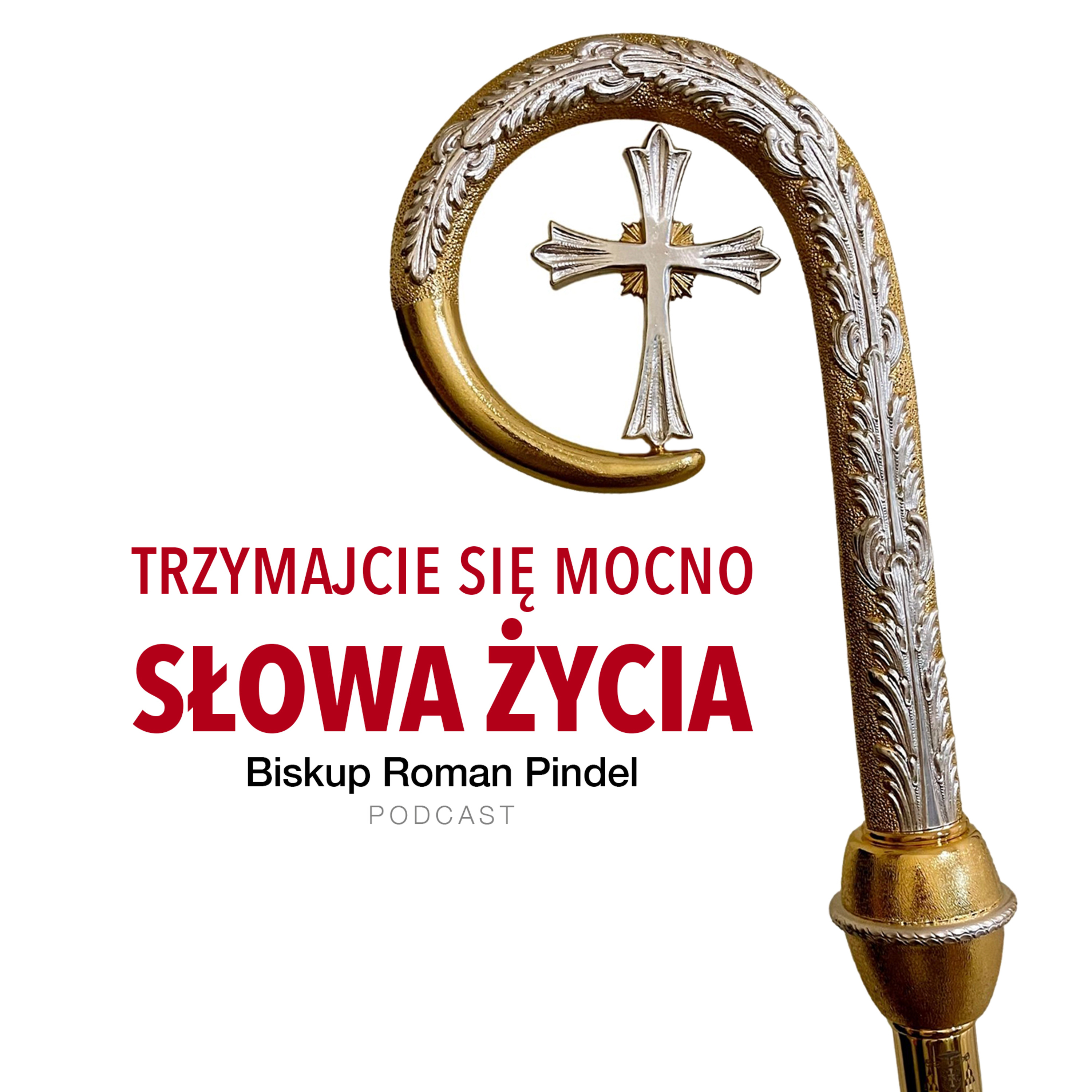 Biblia - SŁOWA ŻYCIA