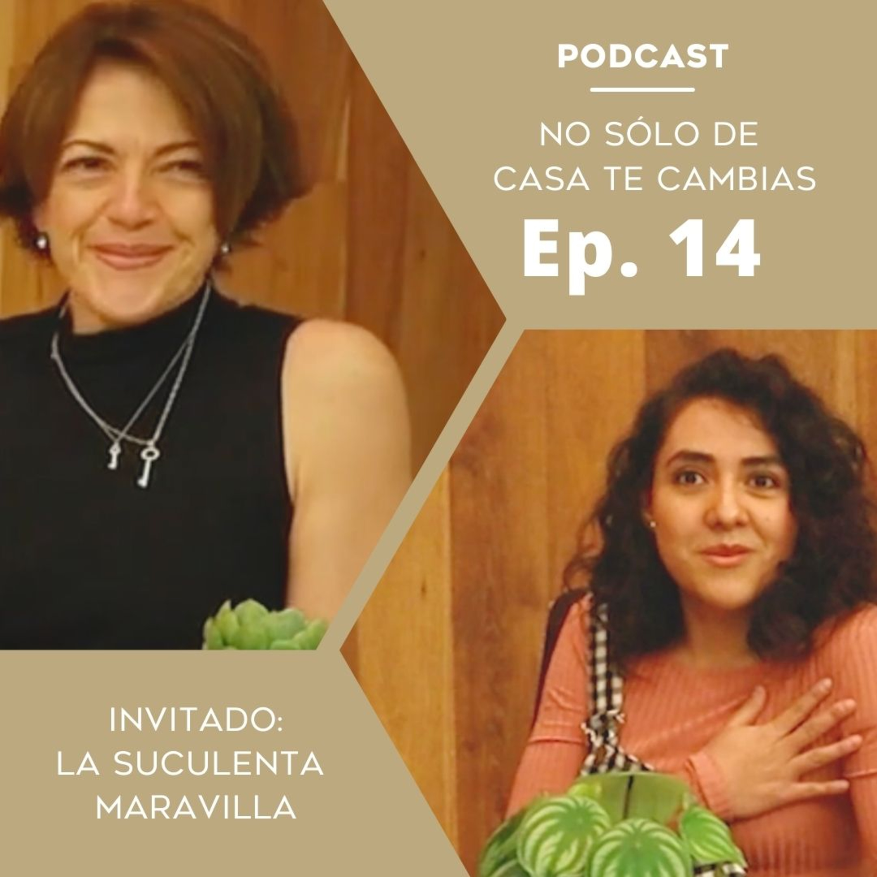 Podcast Sandra Hendrix Coach
