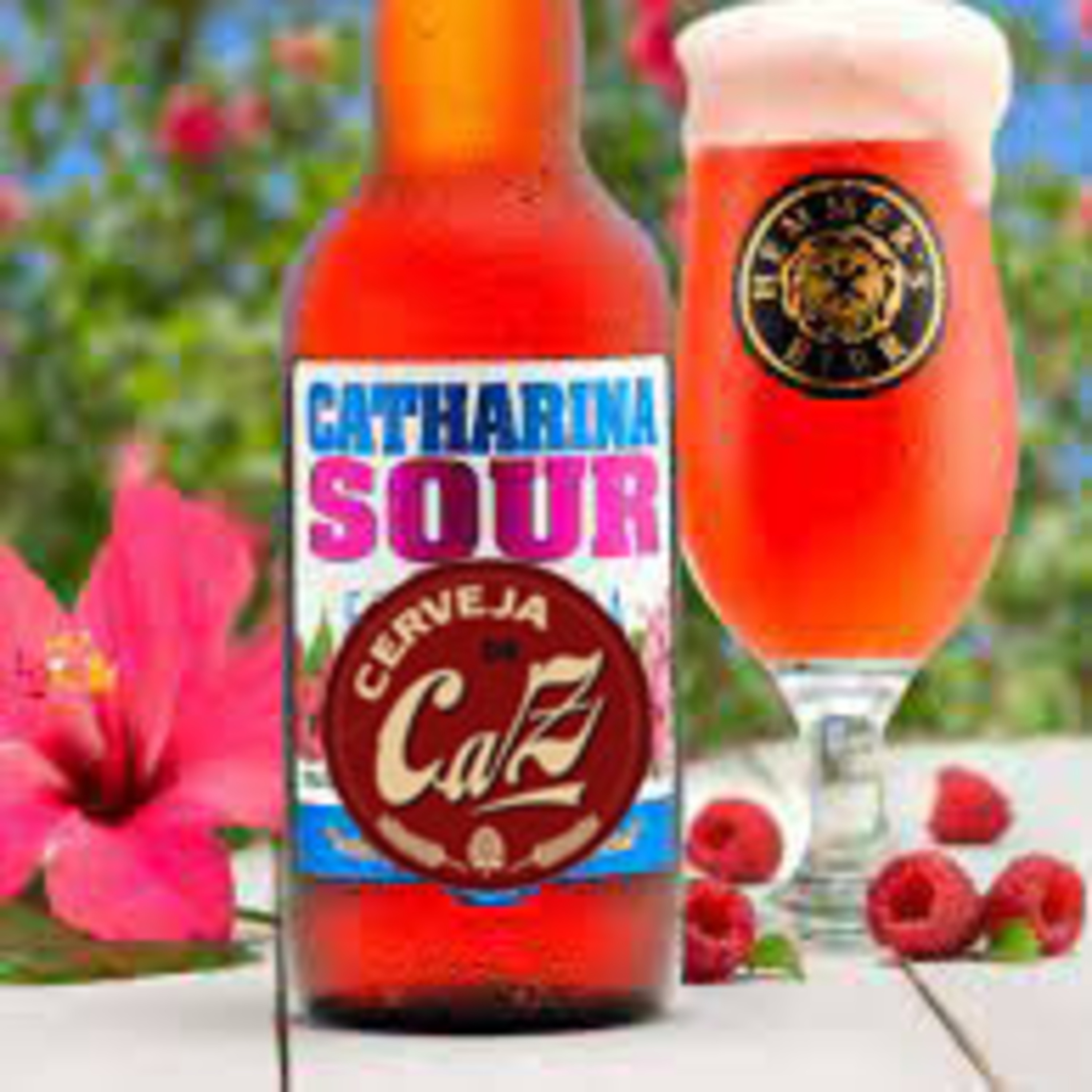 S2x02 Catharina Sour - O Estilo Brasileiro