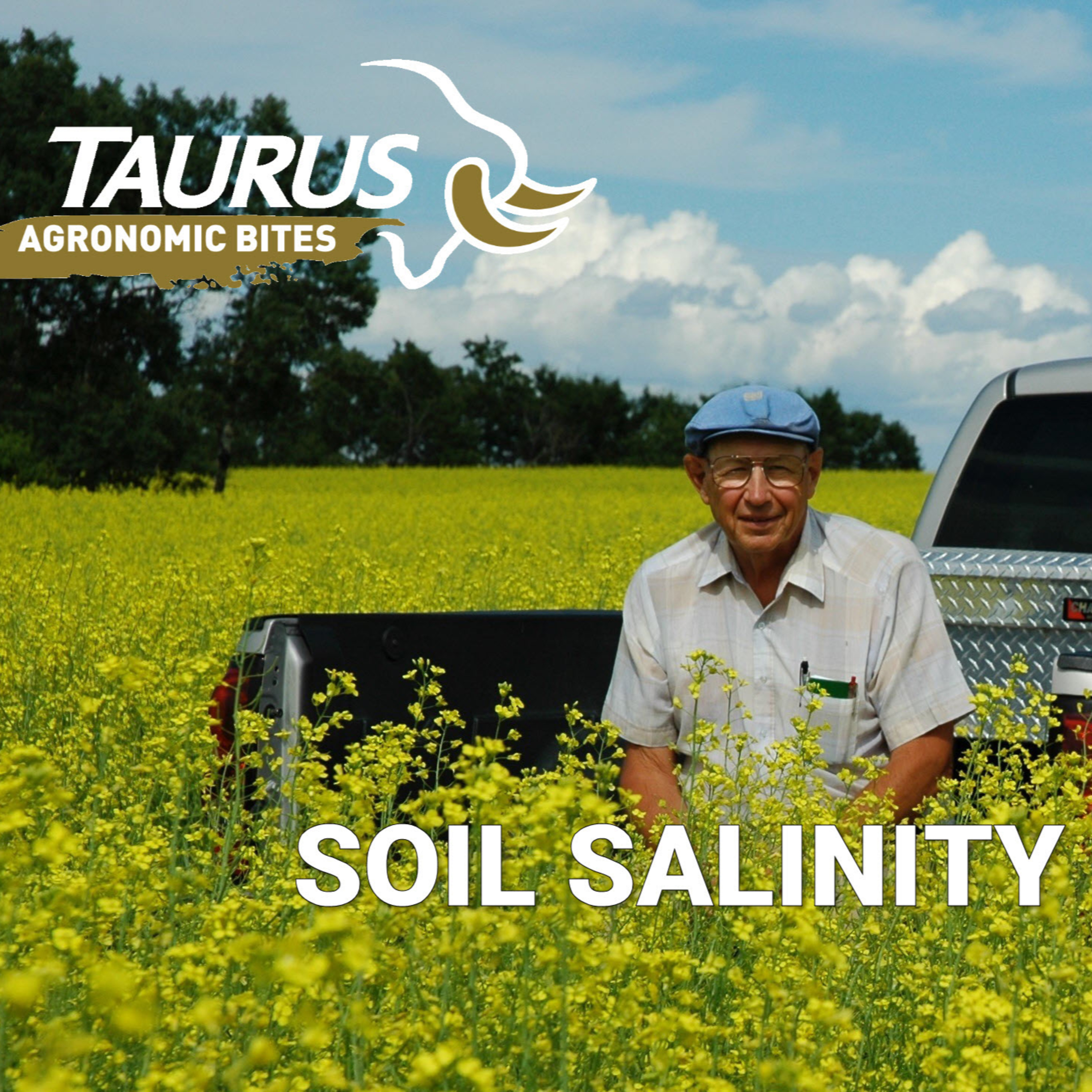 Soil Salinity with Les Henry episode artwork