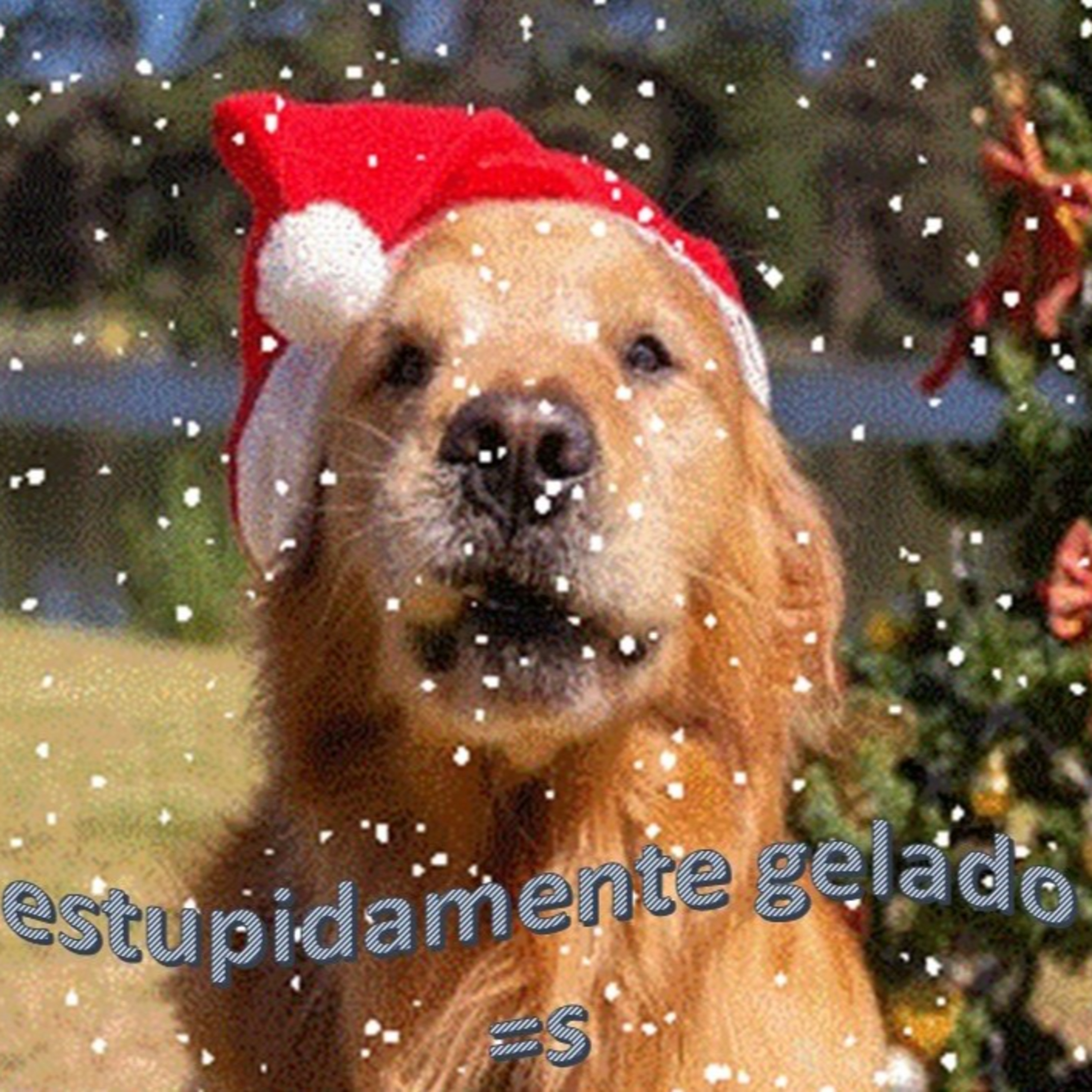 Estupidamente Gelado