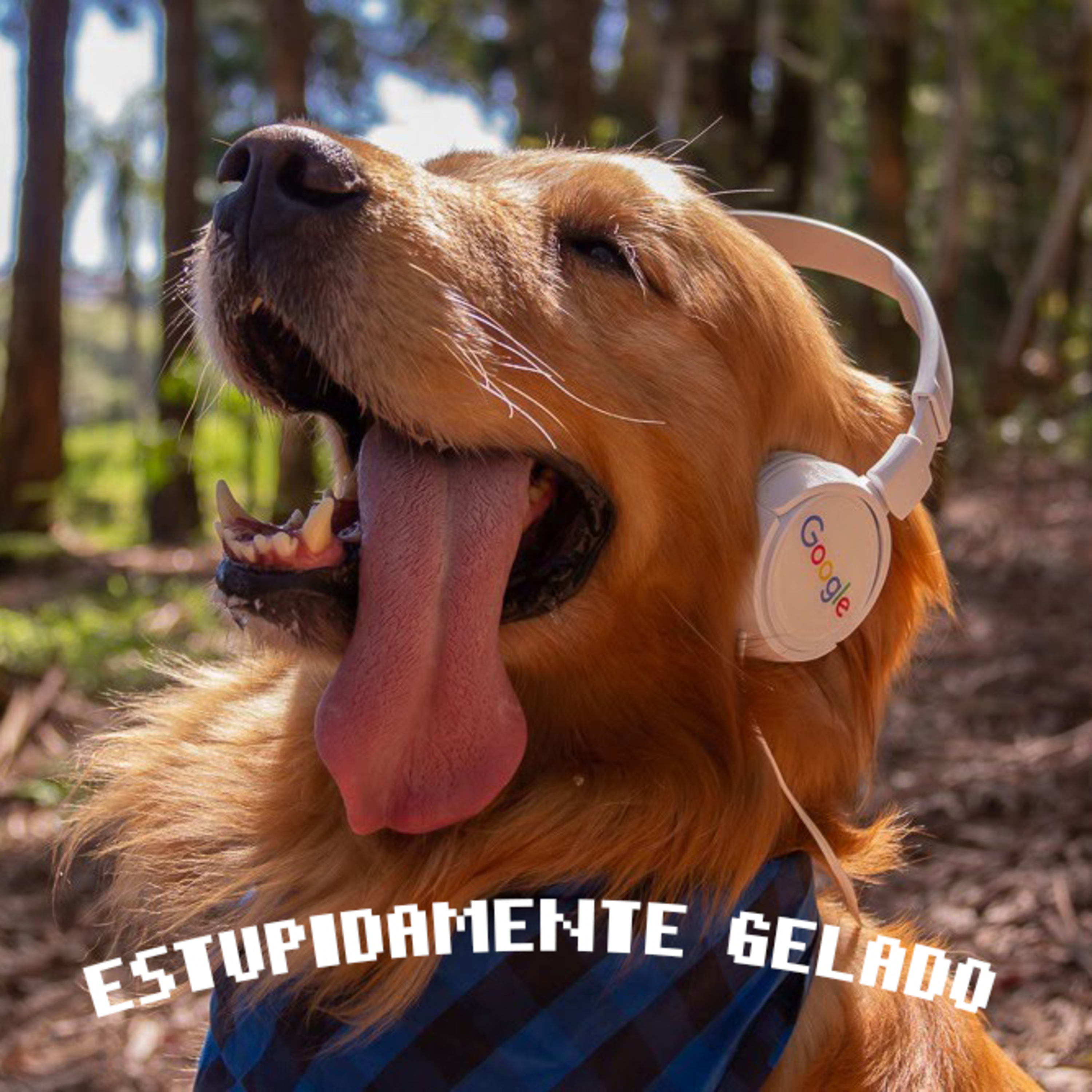 Estupidamente Gelado