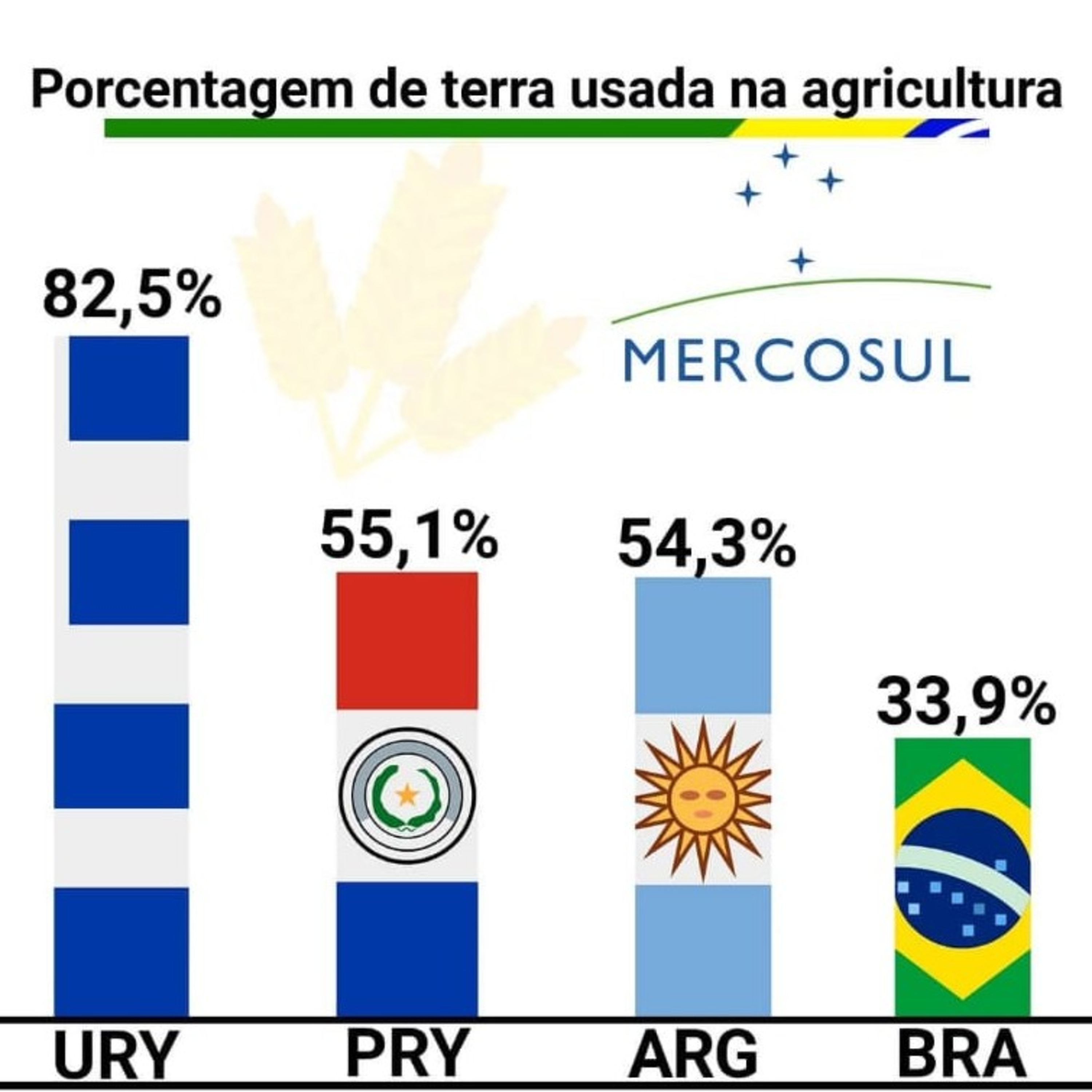 Geografia na Veia!