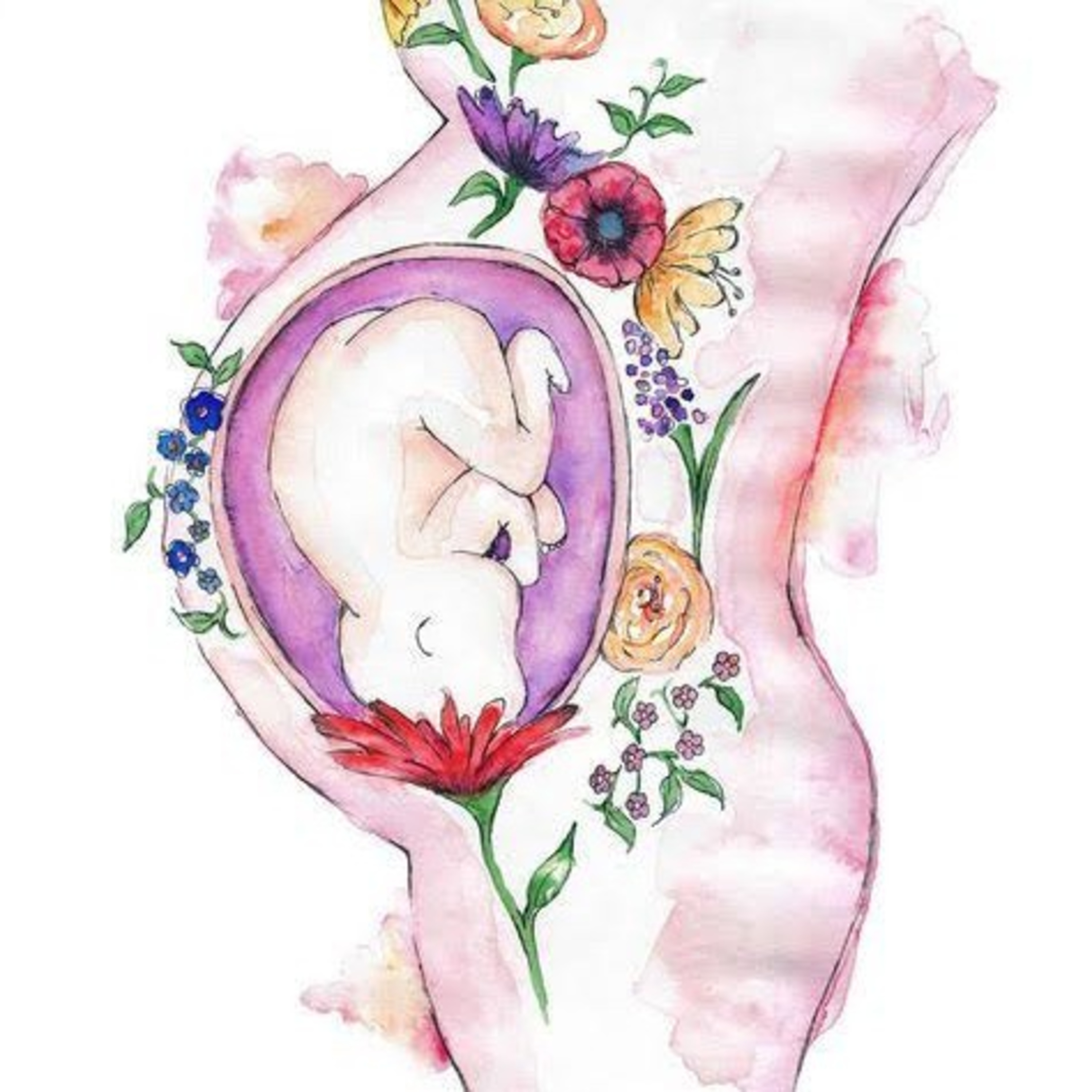 Incontinência urinaria e fecal no pós parto episode artwork