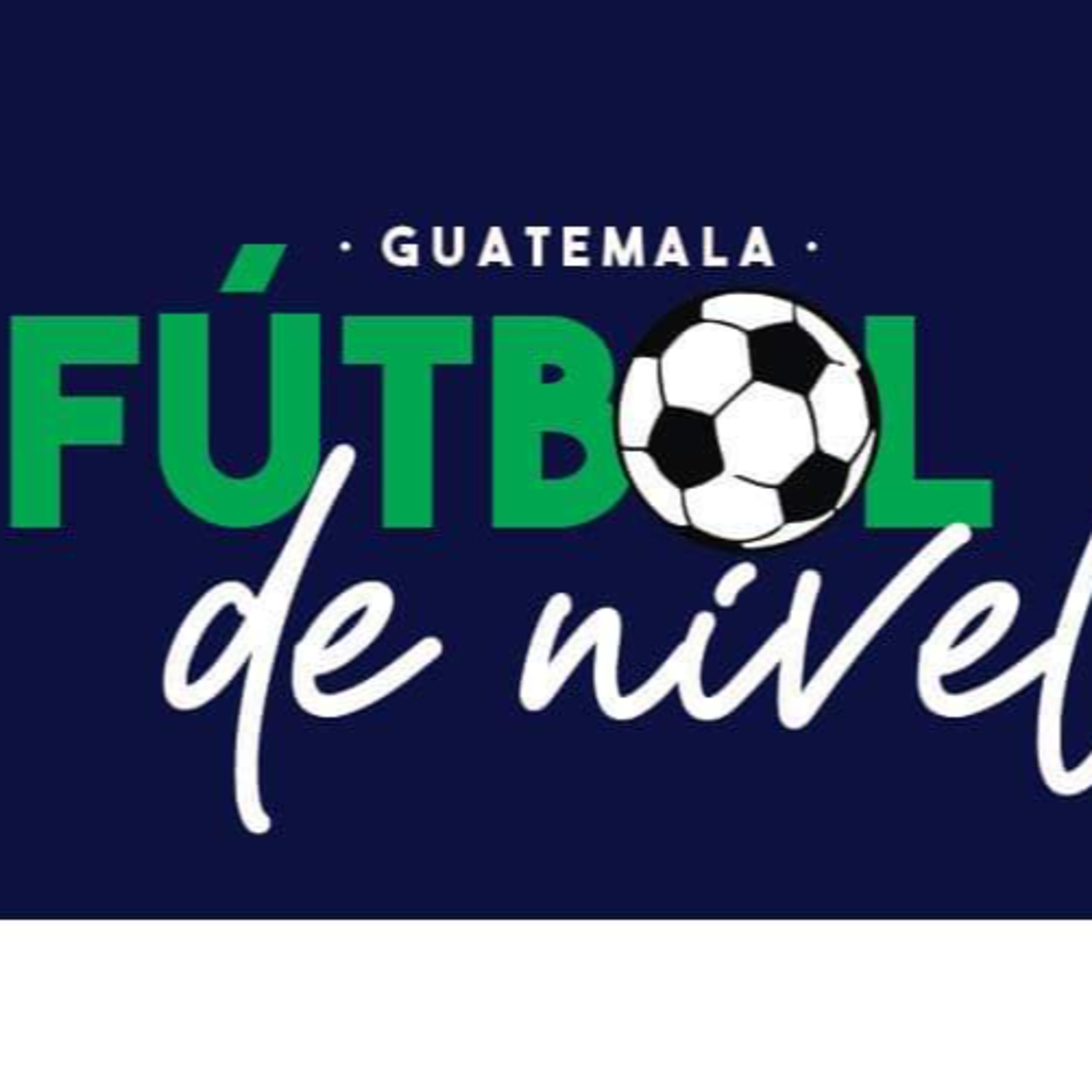 Fútbol de nivel