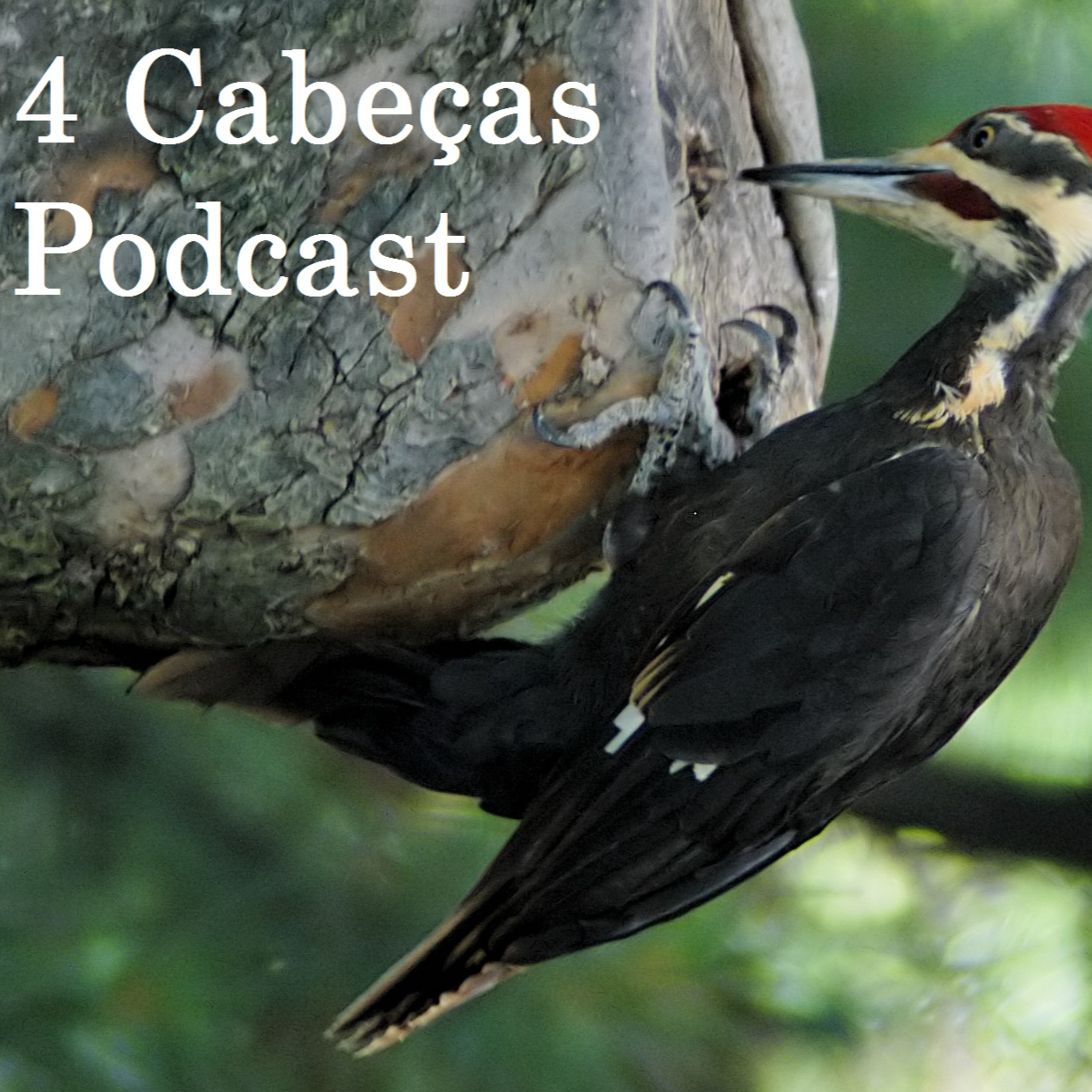4 Cabeças Podcast