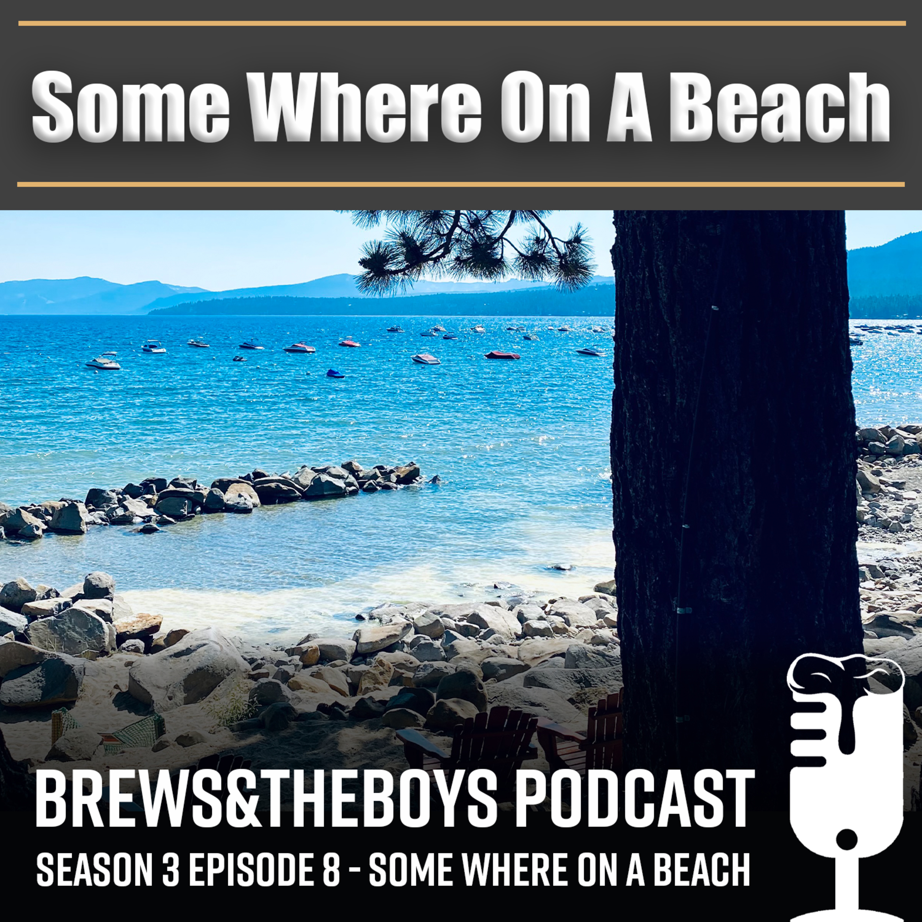 S3 #8 Some Where On A Beach episode artwork