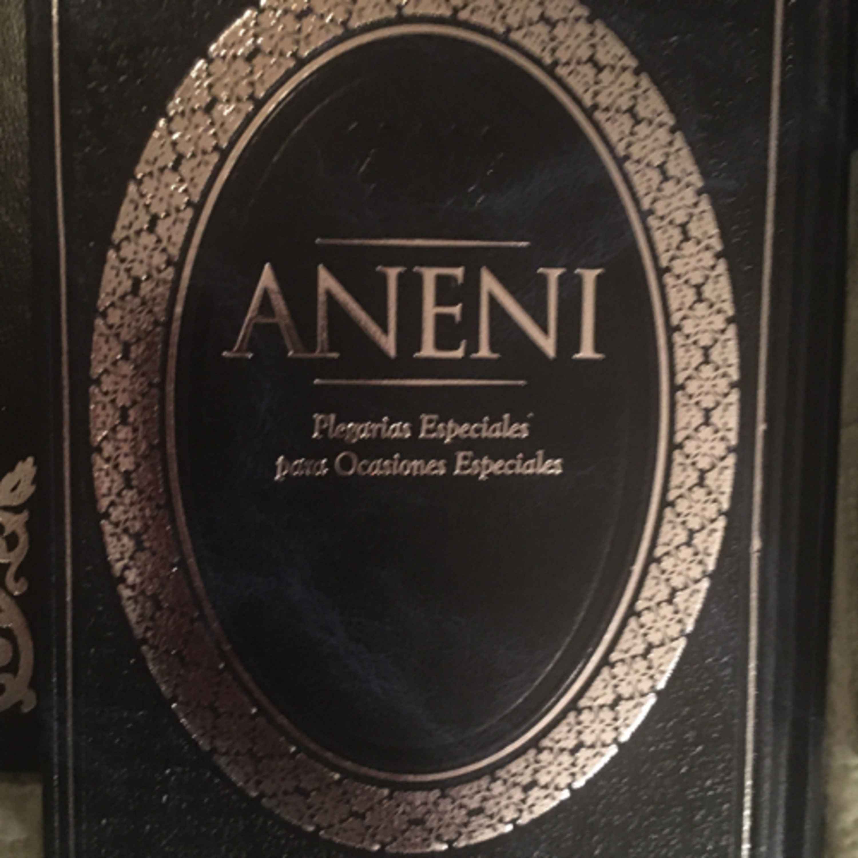 La Palabra de Hashem