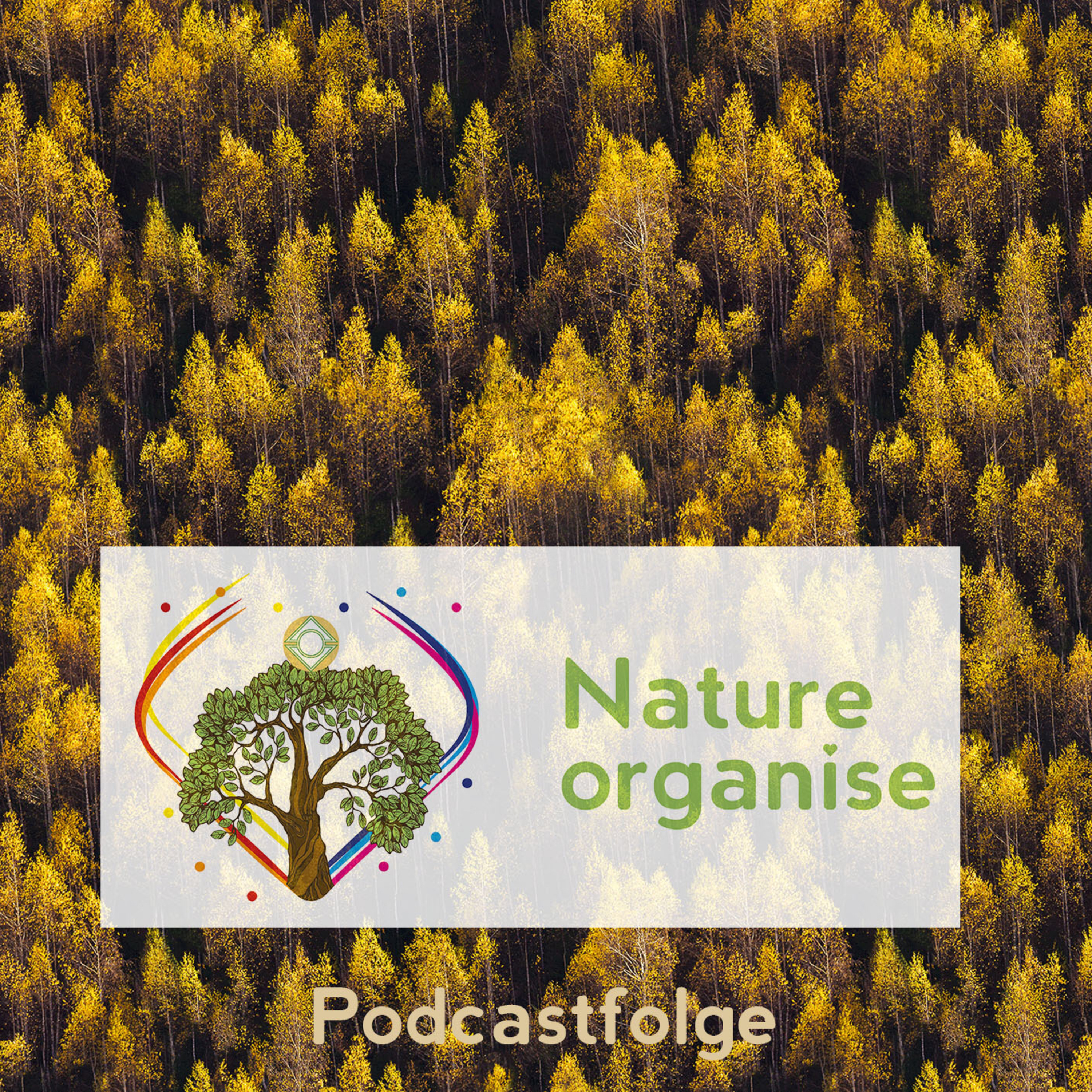 Natureorganise ~ sei natürlich 🧡
