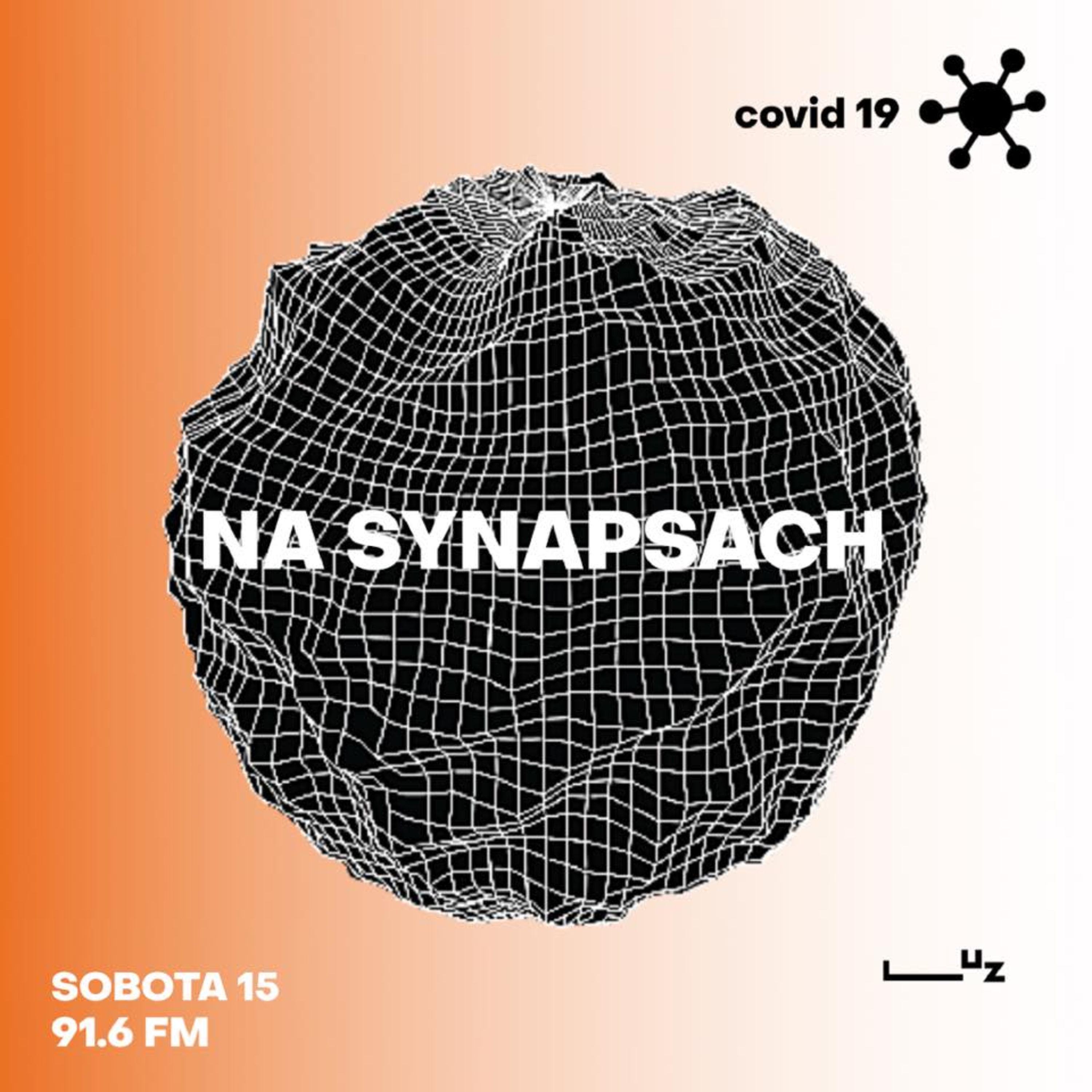 Na Synapsach