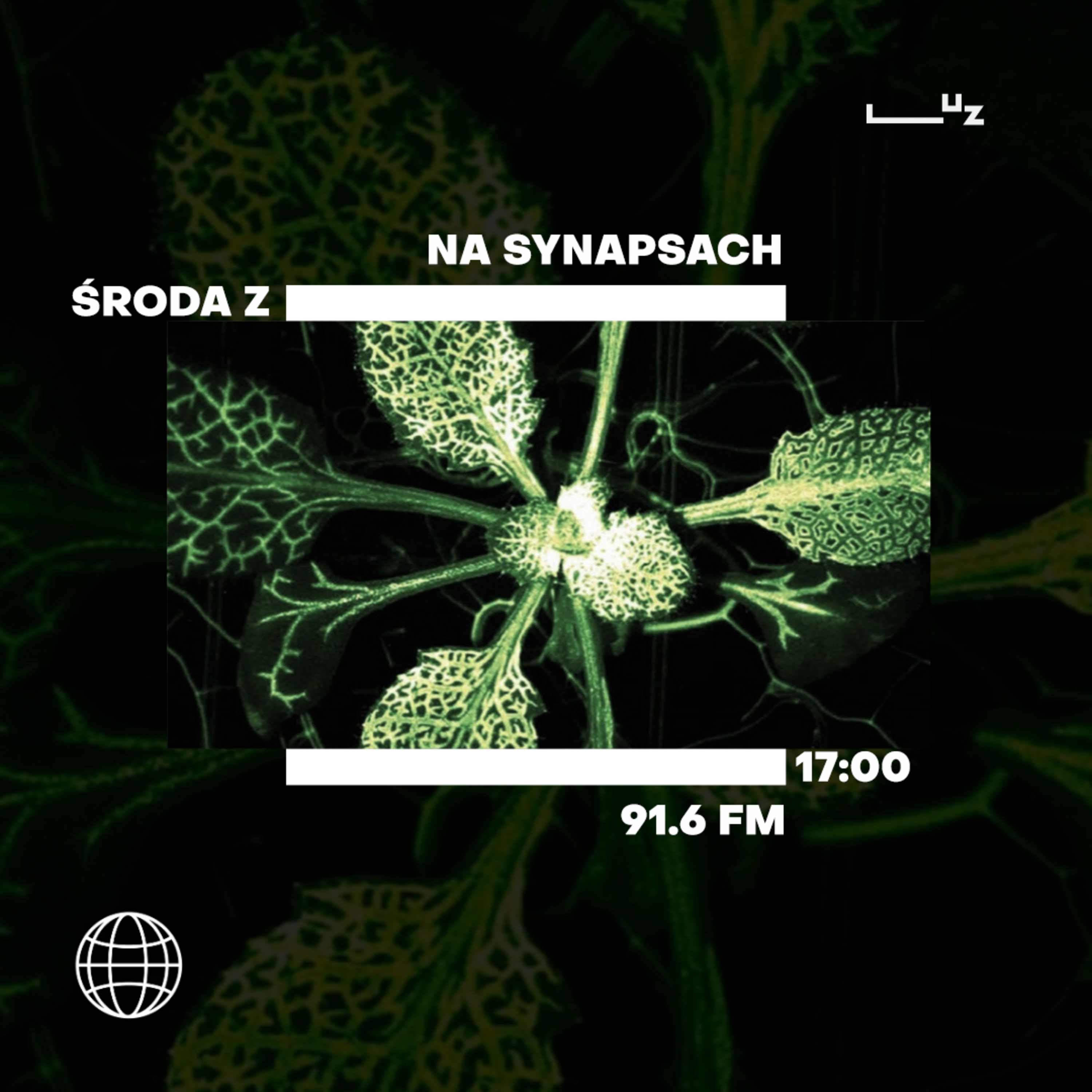 Na Synapsach