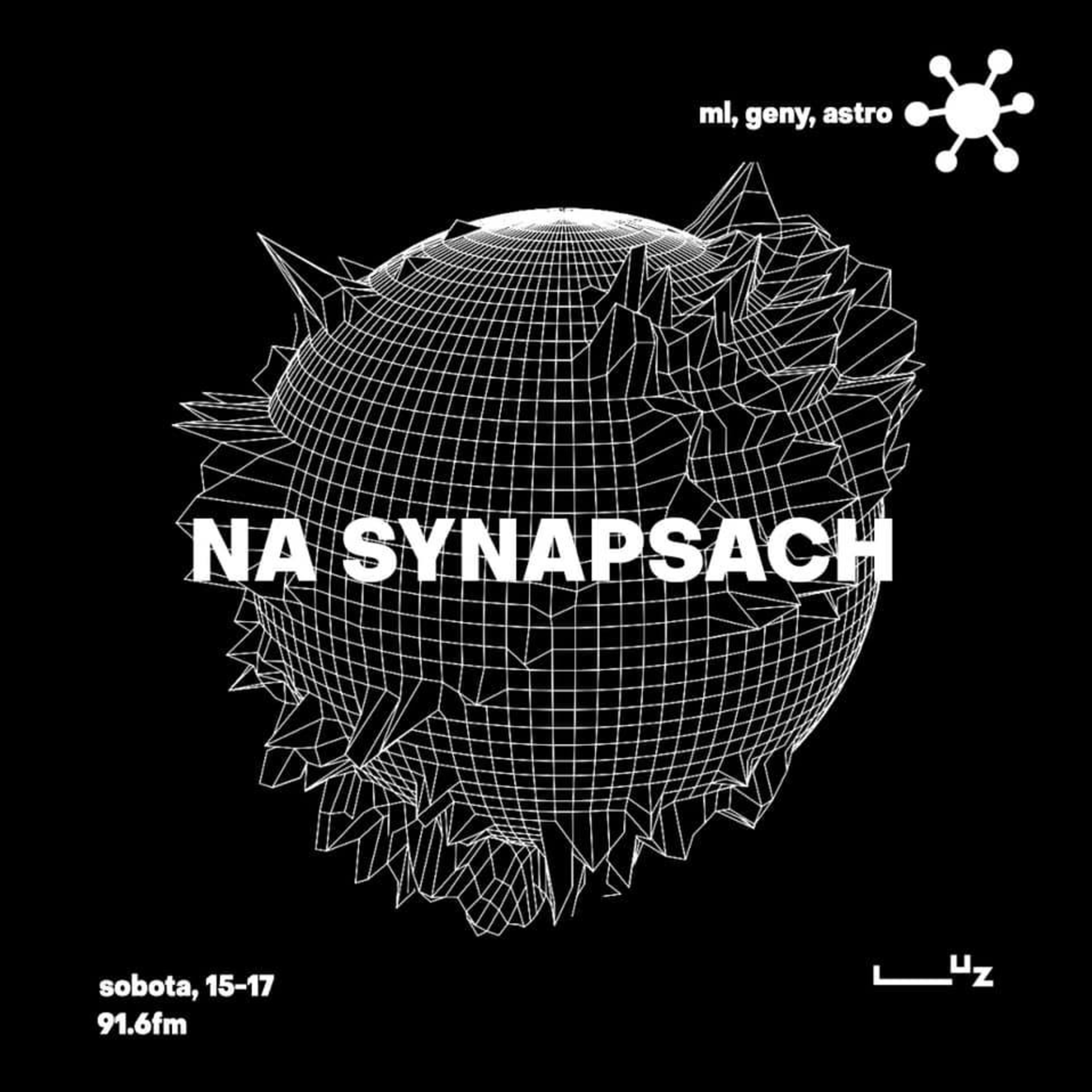 Na Synapsach