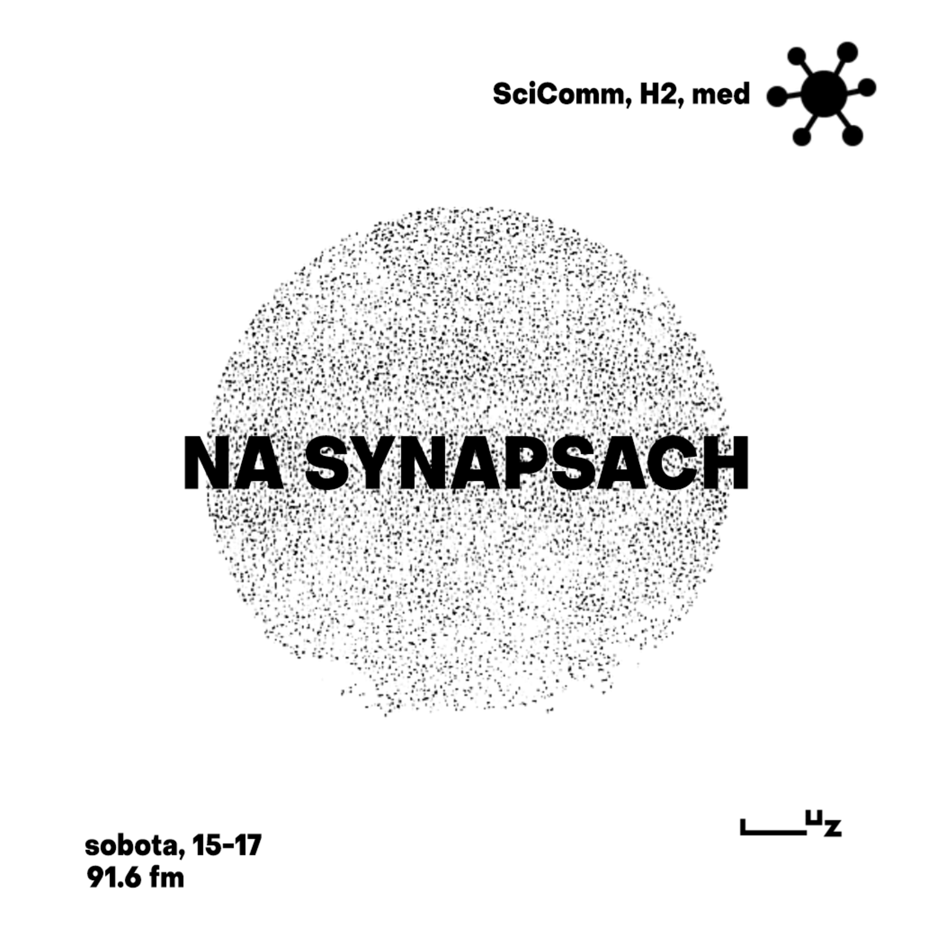 Na Synapsach