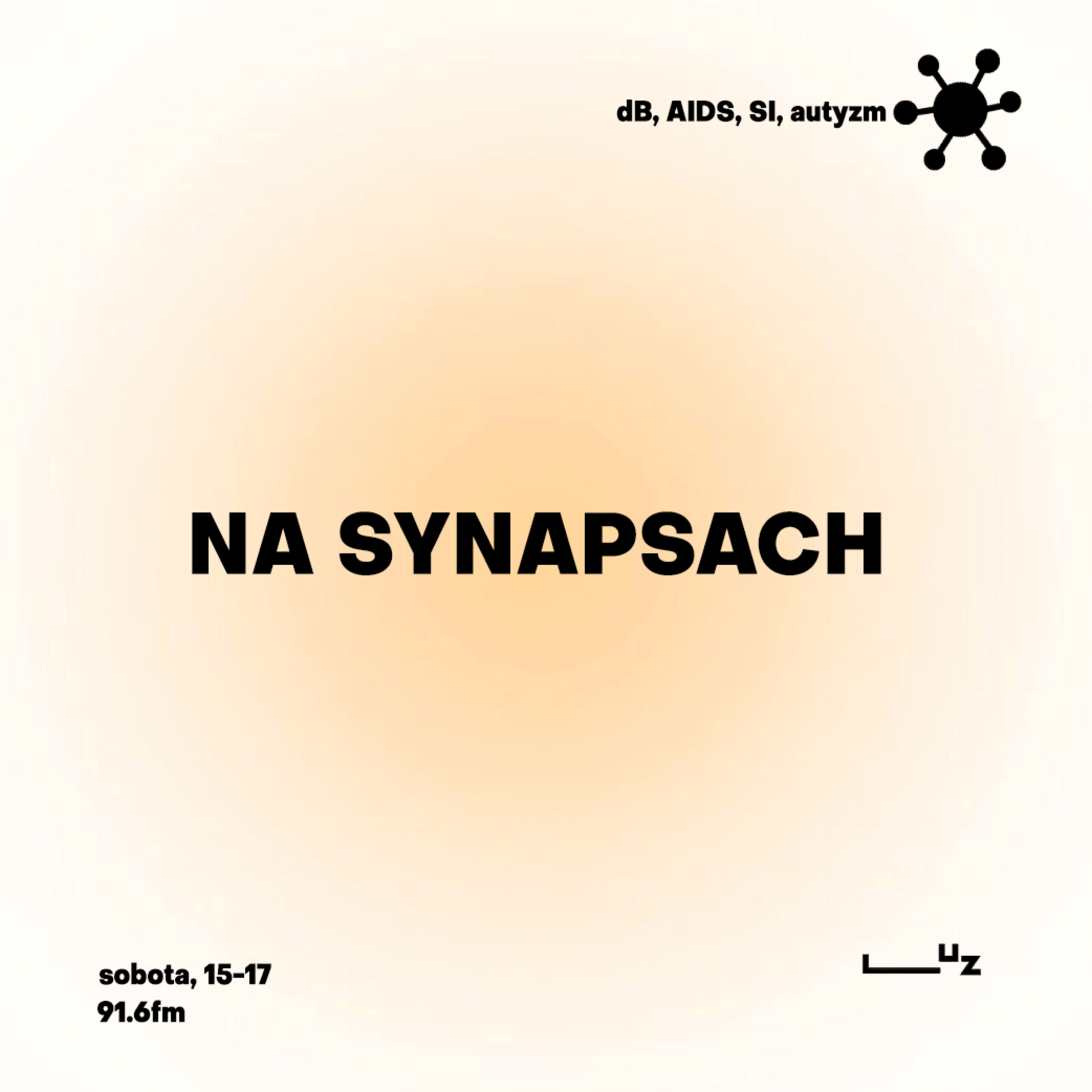 Na Synapsach