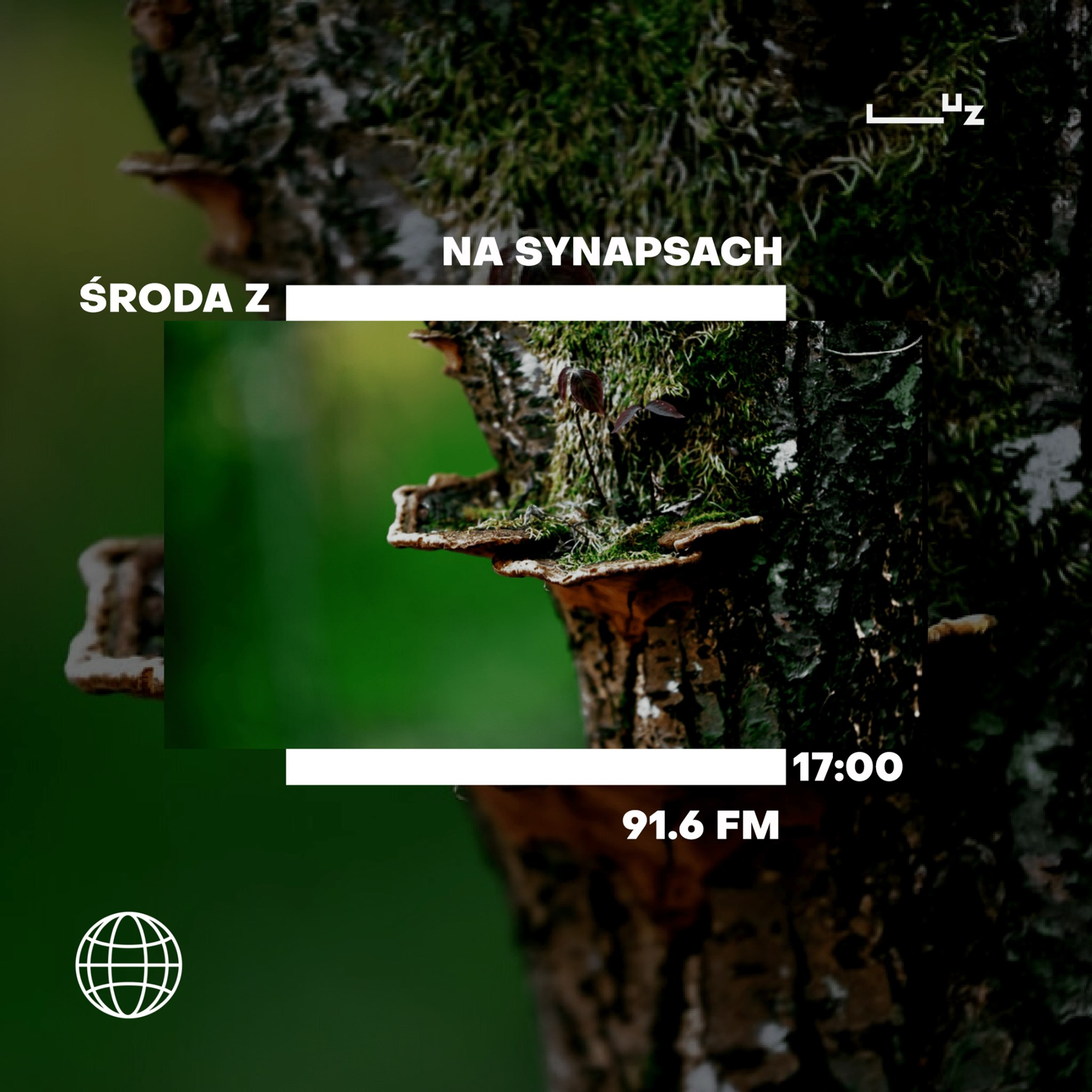 Na Synapsach